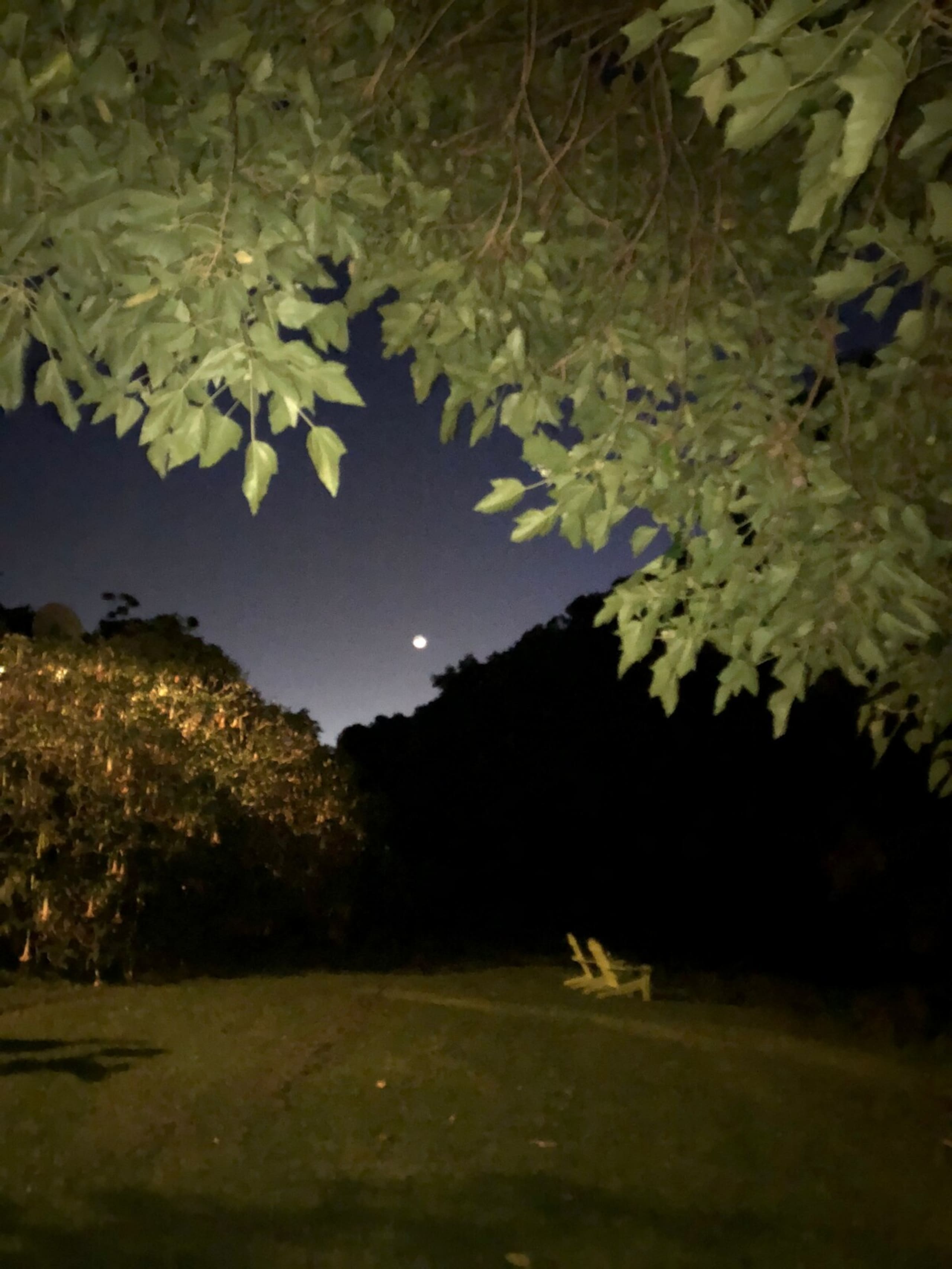Charming Log House! Sacred Garden Farm Stay - Photo 53