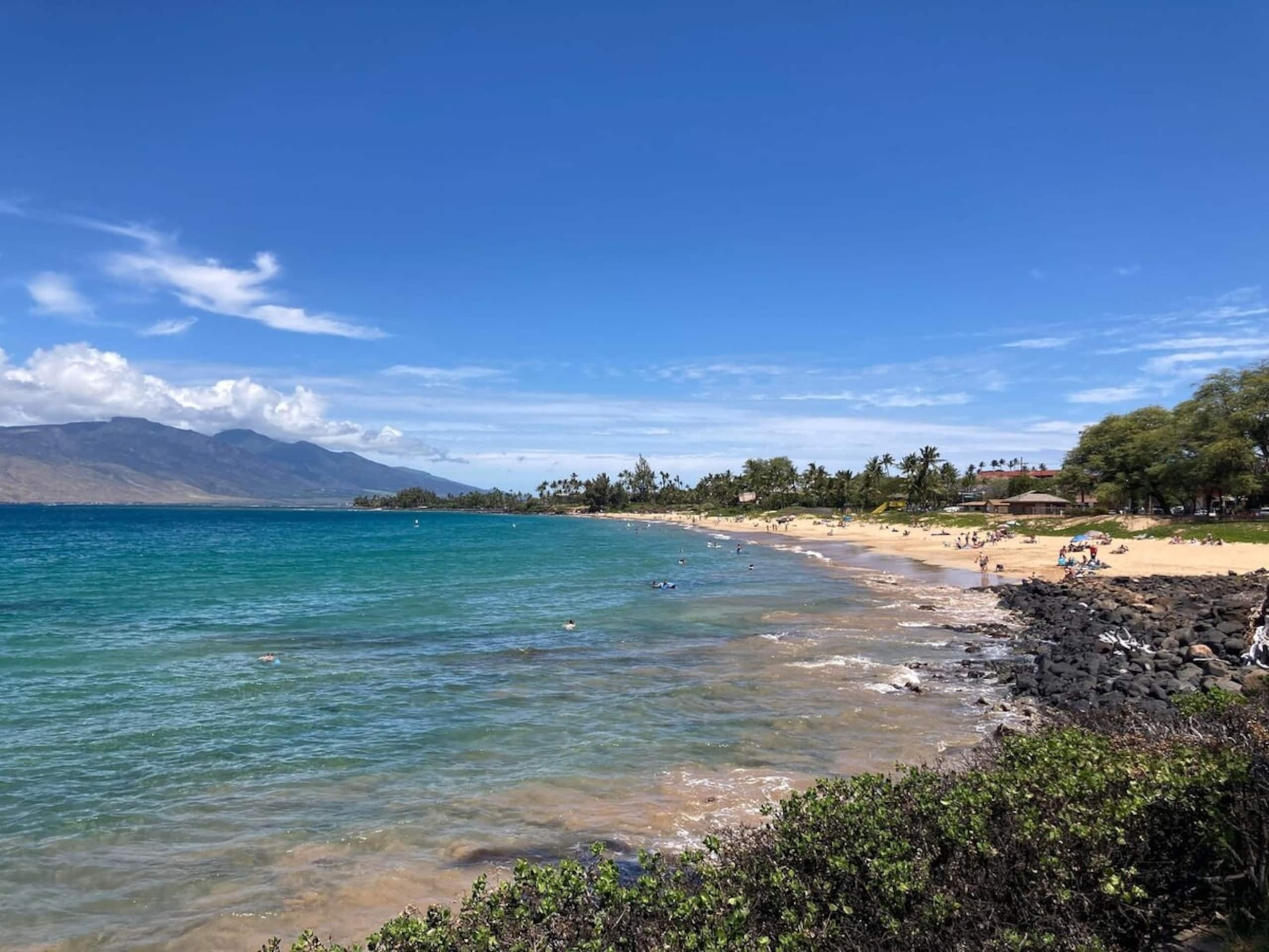 Full Oceanview and Prime Location 2 Bed / 2 Bath - Photo 33