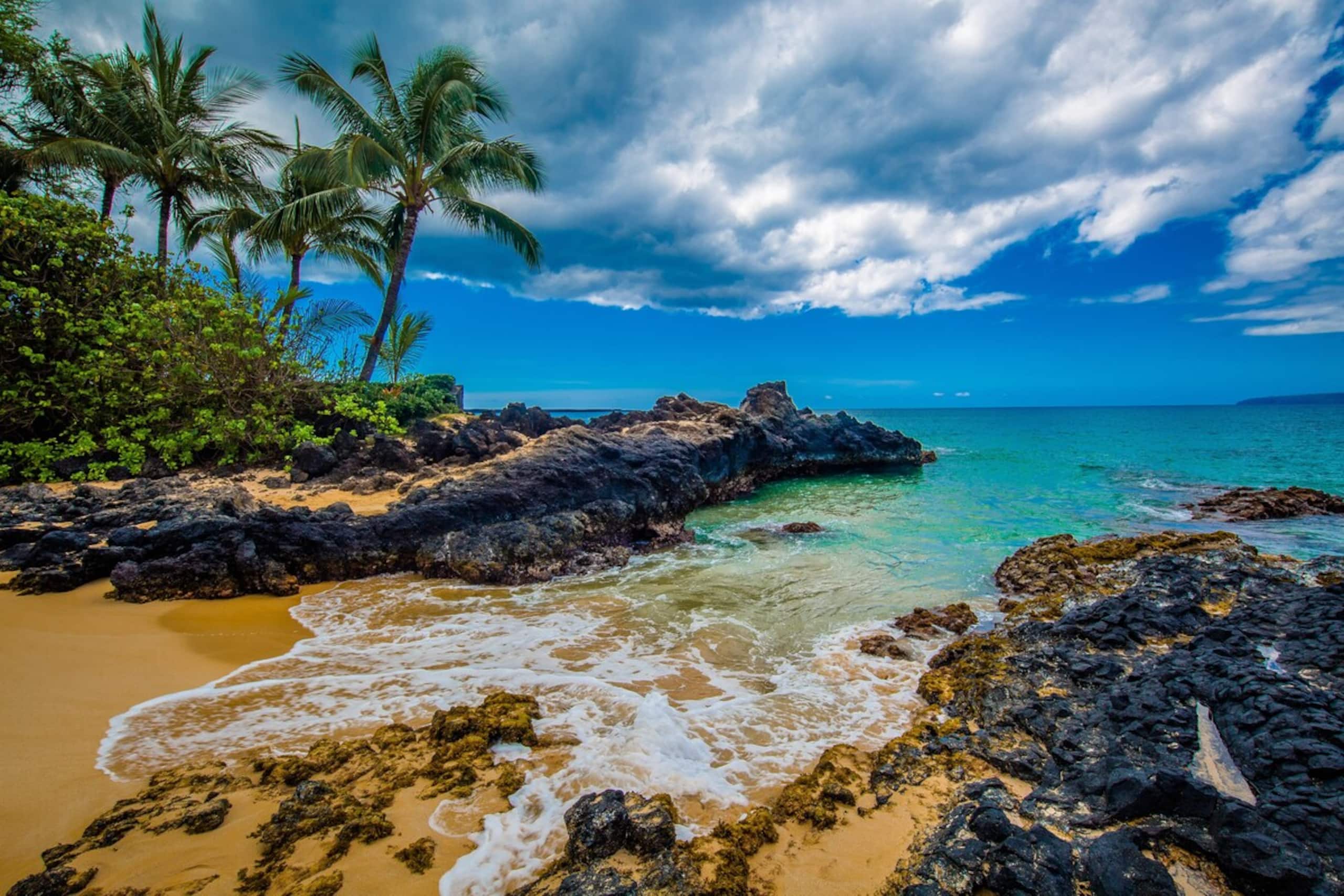 Full Oceanview and Prime Location 2 Bed / 2 Bath - Photo 40