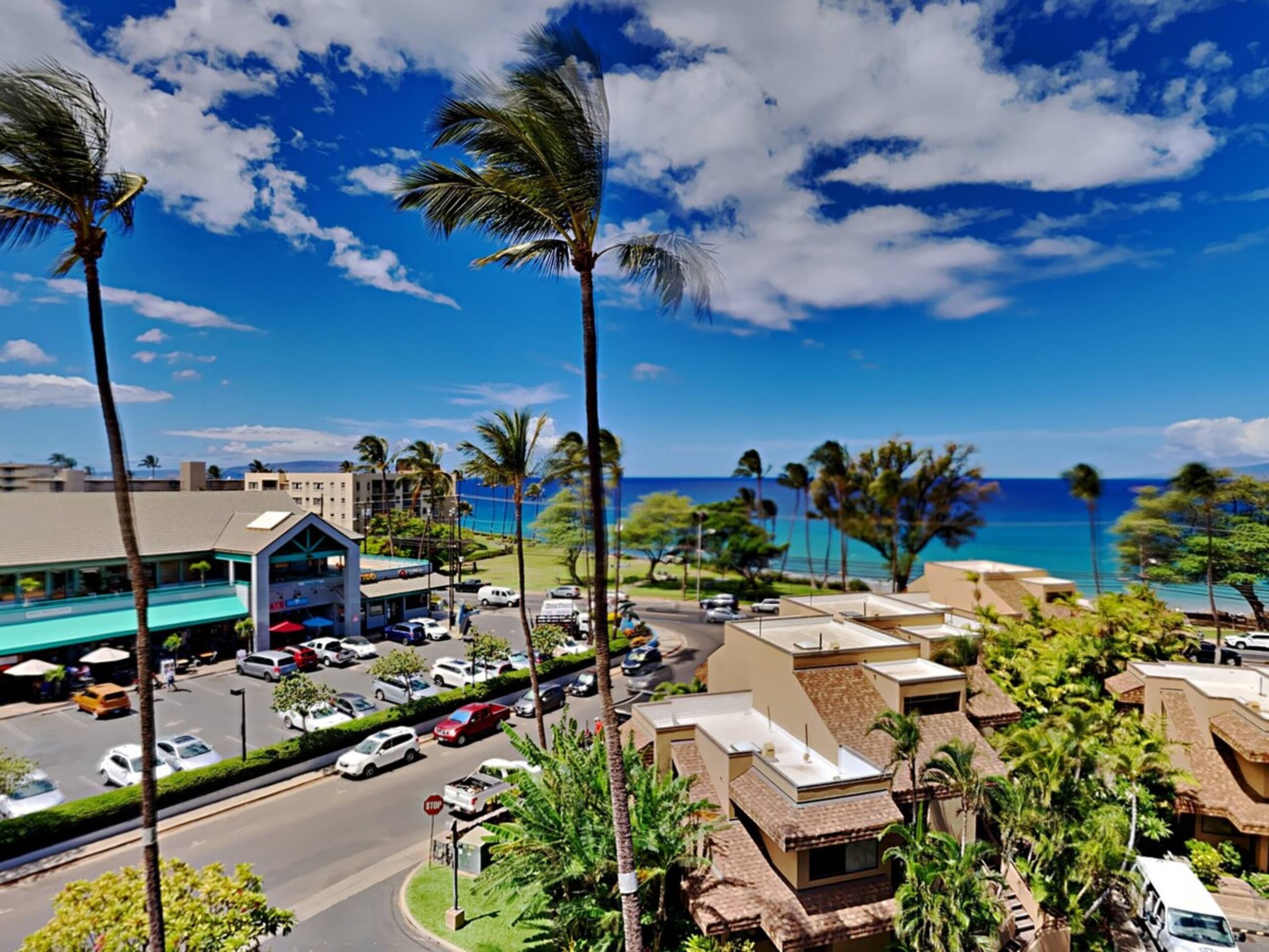 Full Oceanview and Prime Location 2 Bed / 2 Bath - Photo 22