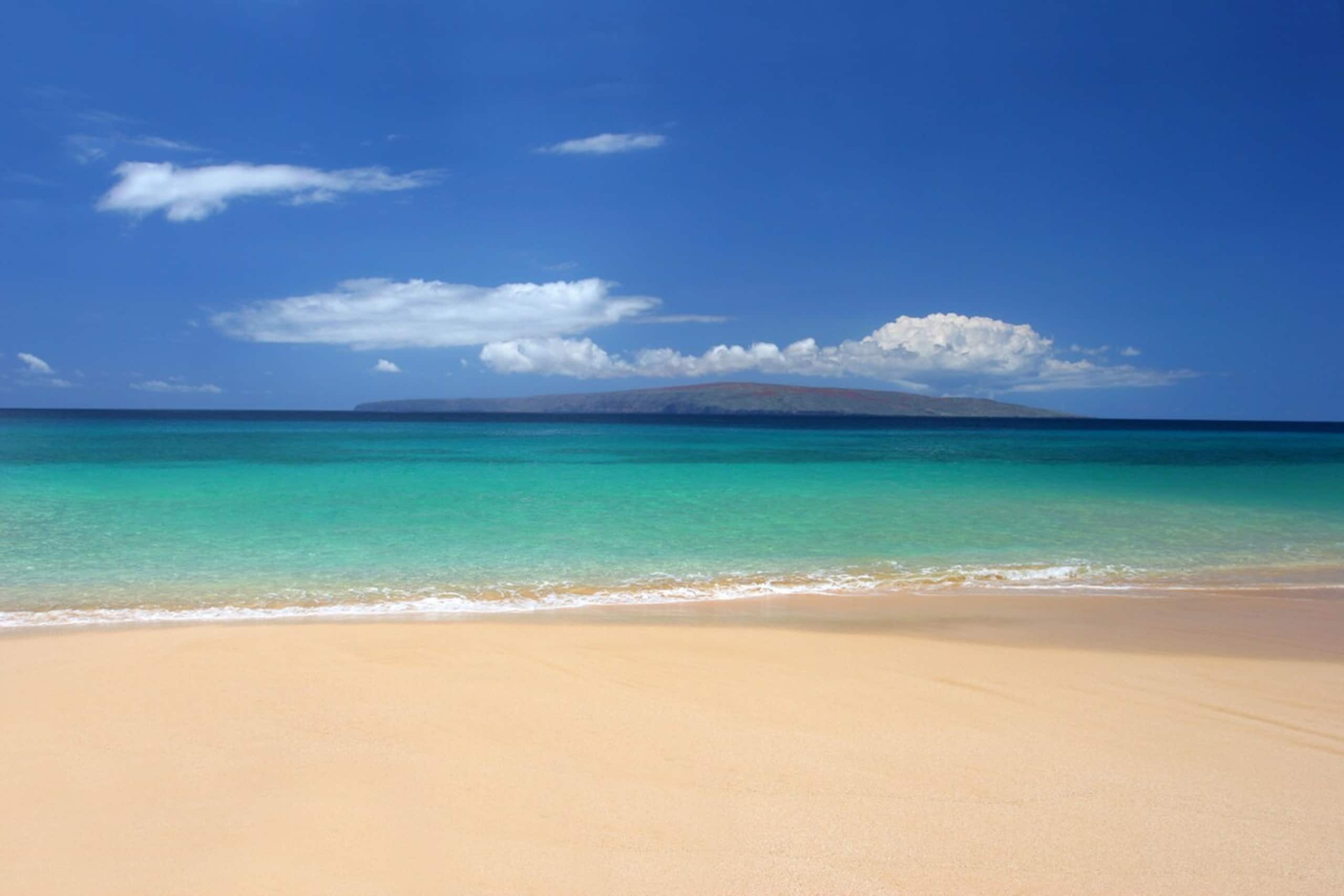Full Oceanview and Prime Location 2 Bed / 2 Bath - Photo 41