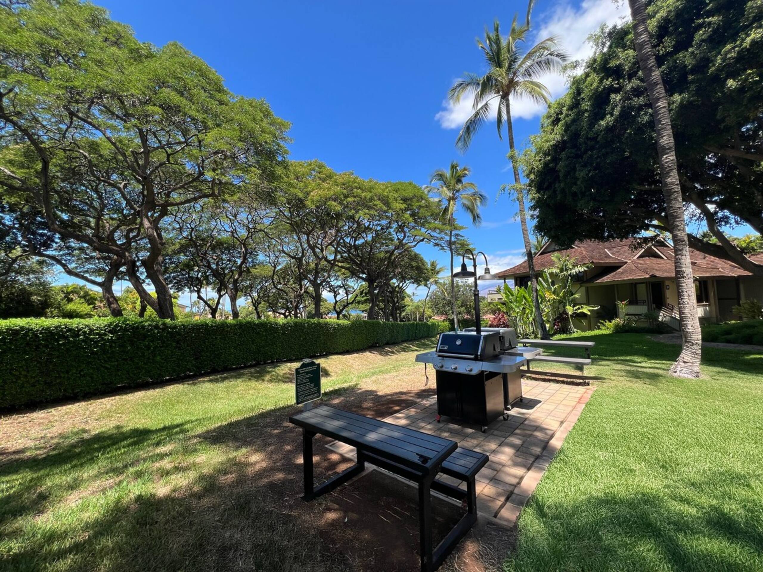 Last Minute Deal Wailea Remodel Large Lanai - Photo 27
