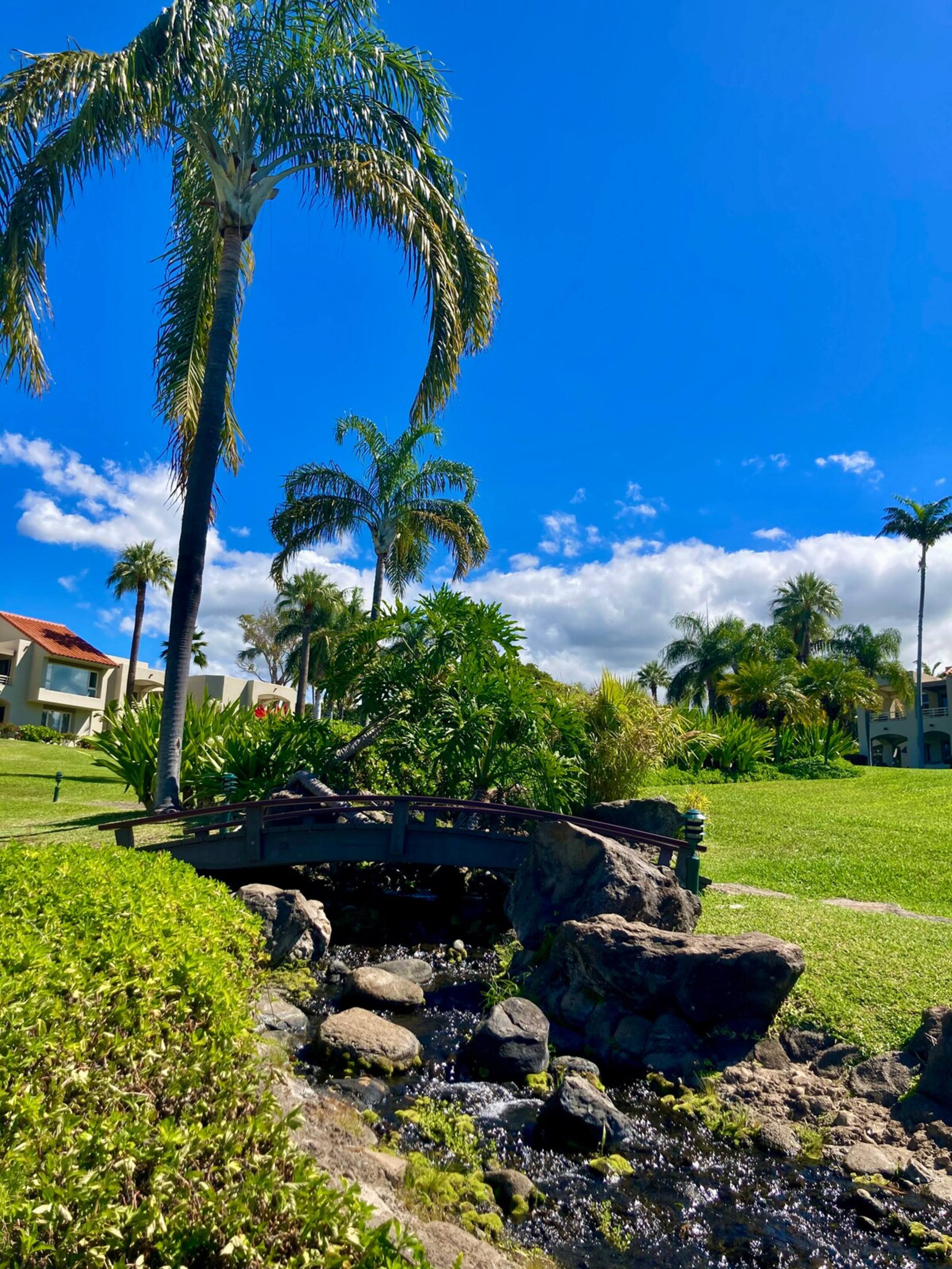 Last Minute Deal Wailea Remodel Large Lanai - Photo 20