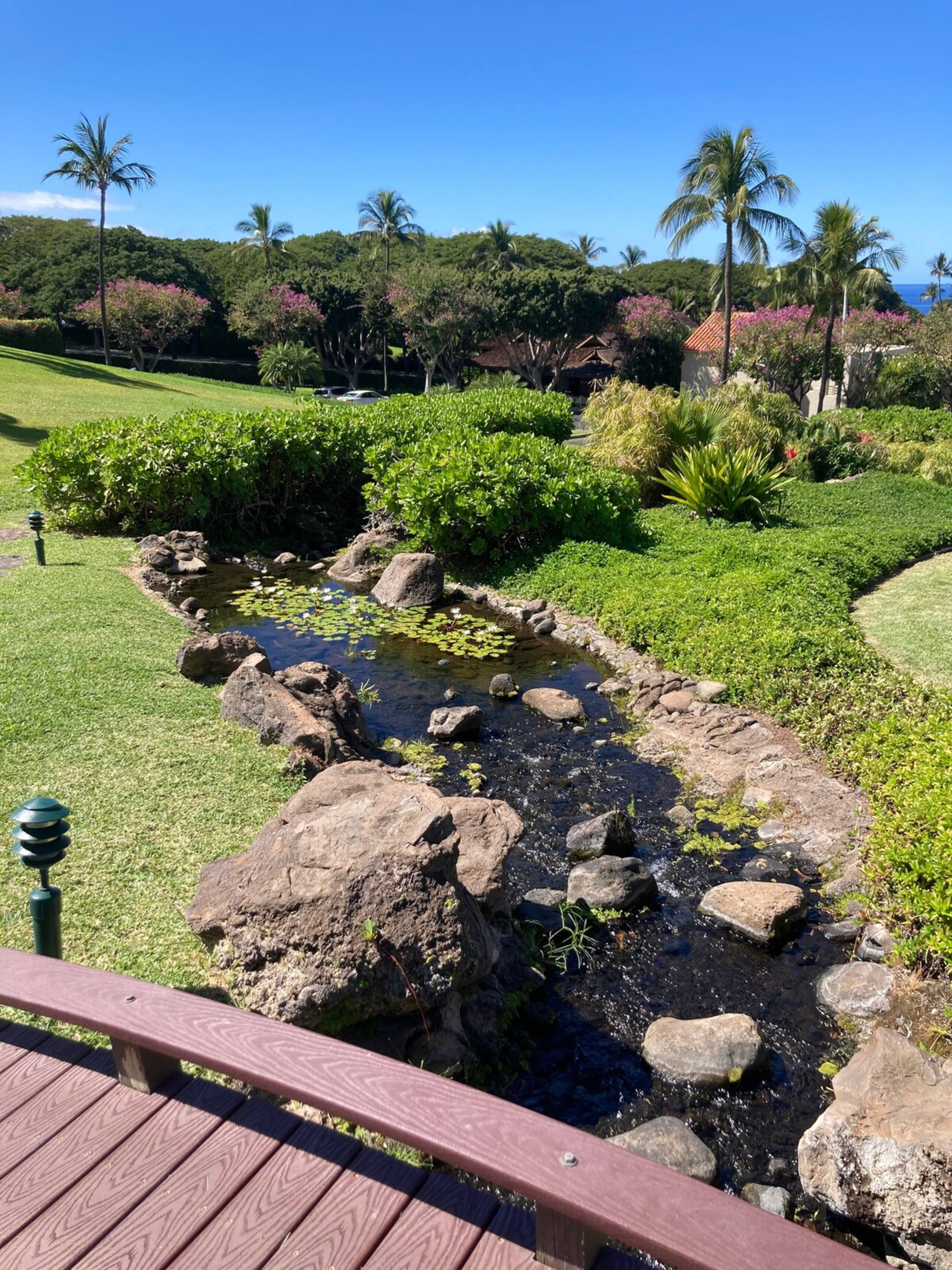 Last Minute Deal Wailea Remodel Large Lanai - Photo 21
