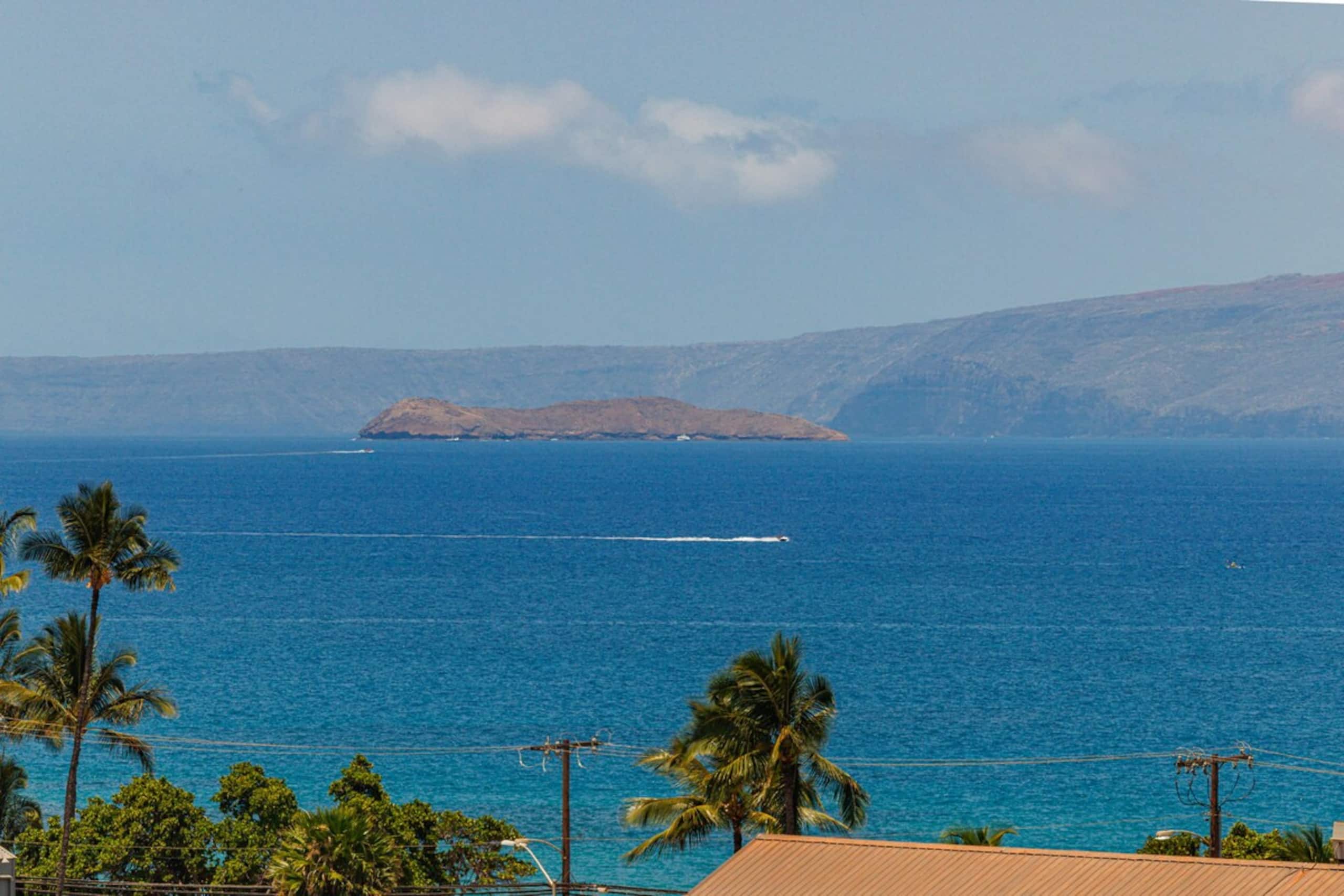 BIG Ocean View, Hotel Zoned,3 minute walk to Kam 1 - Photo 54
