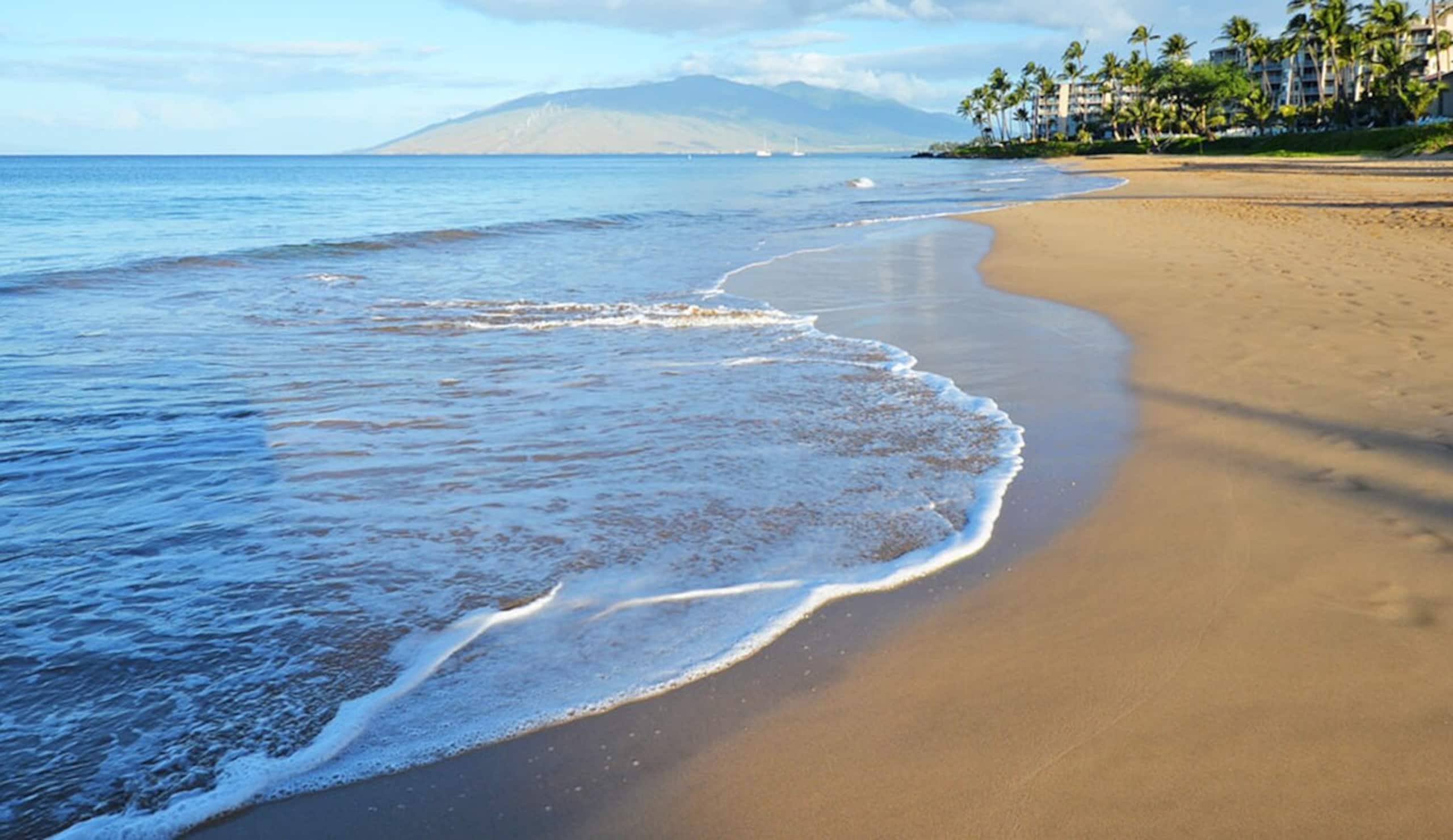 Walk to Beach, Pools & Pickleball in Kihei - Photo 30