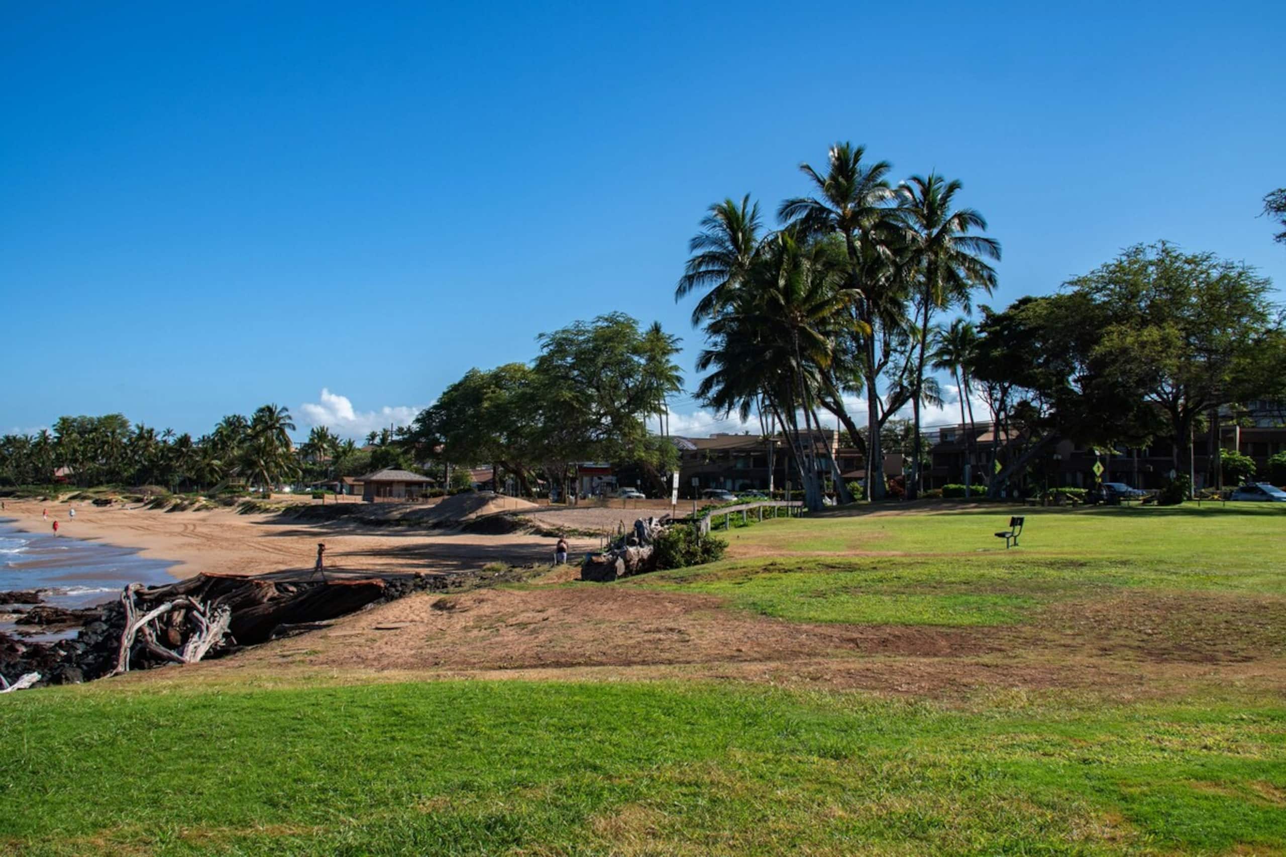 In the heart of S Kihei Across Best Beach - Photo 27