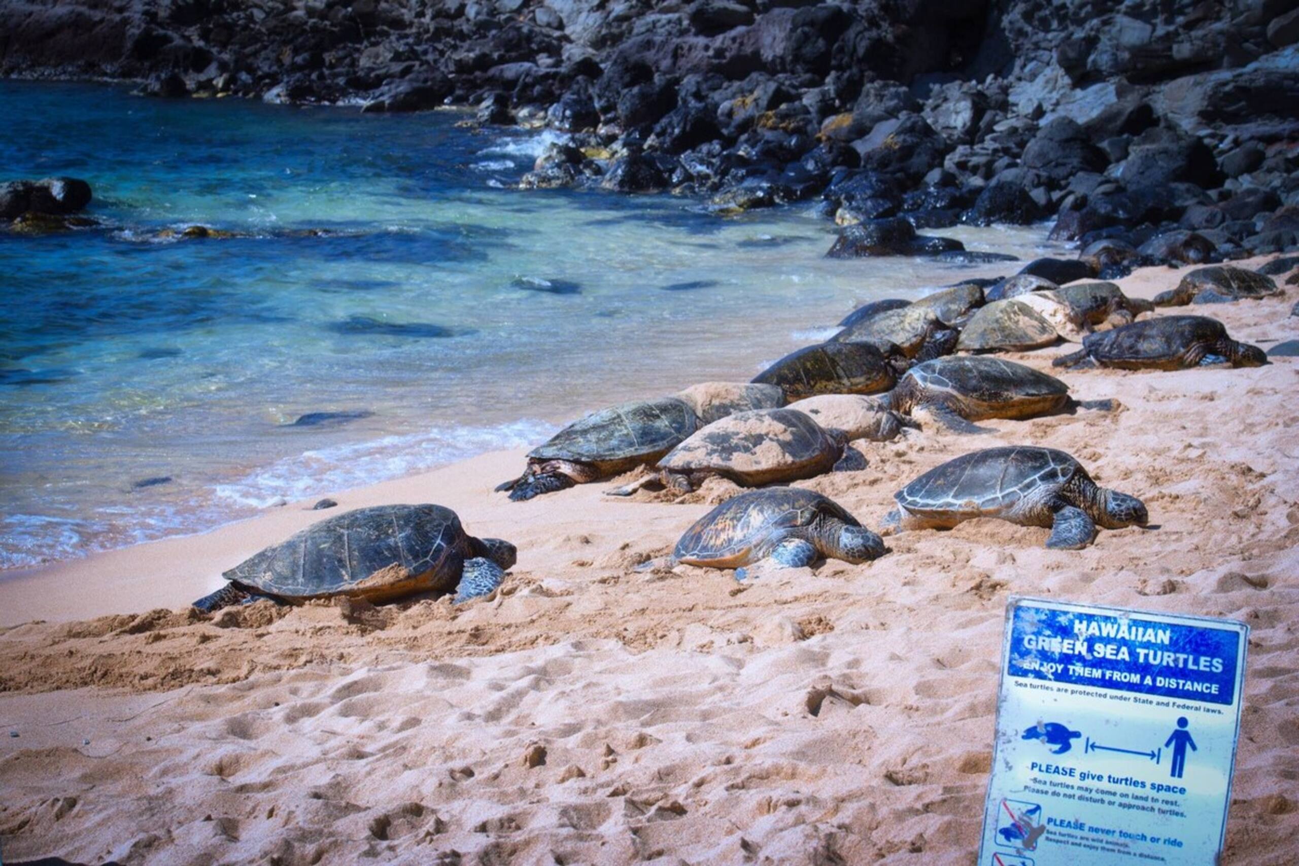 In the heart of S Kihei Across Best Beach - Photo 29