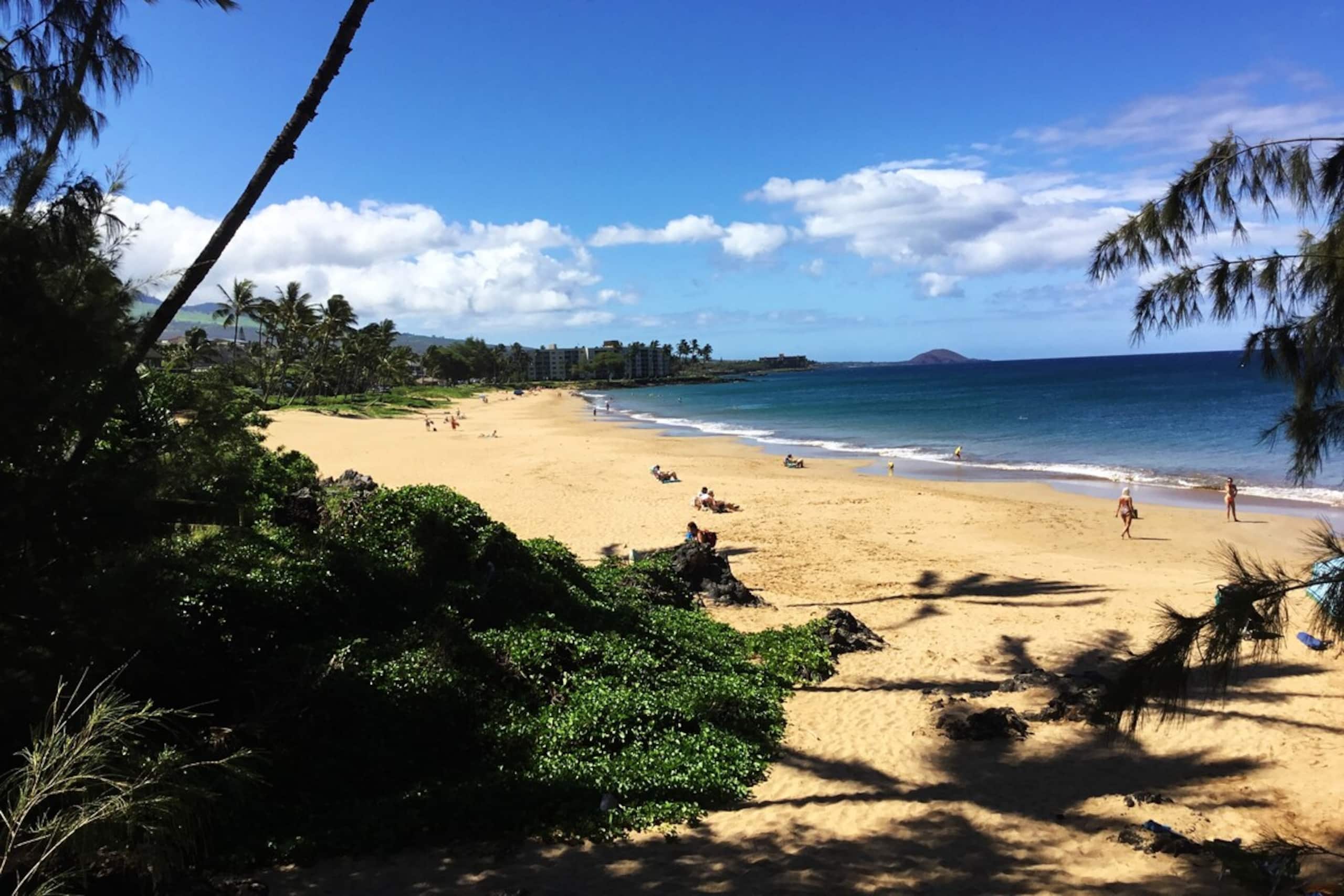 In the heart of S Kihei Across Best Beach - Photo 24