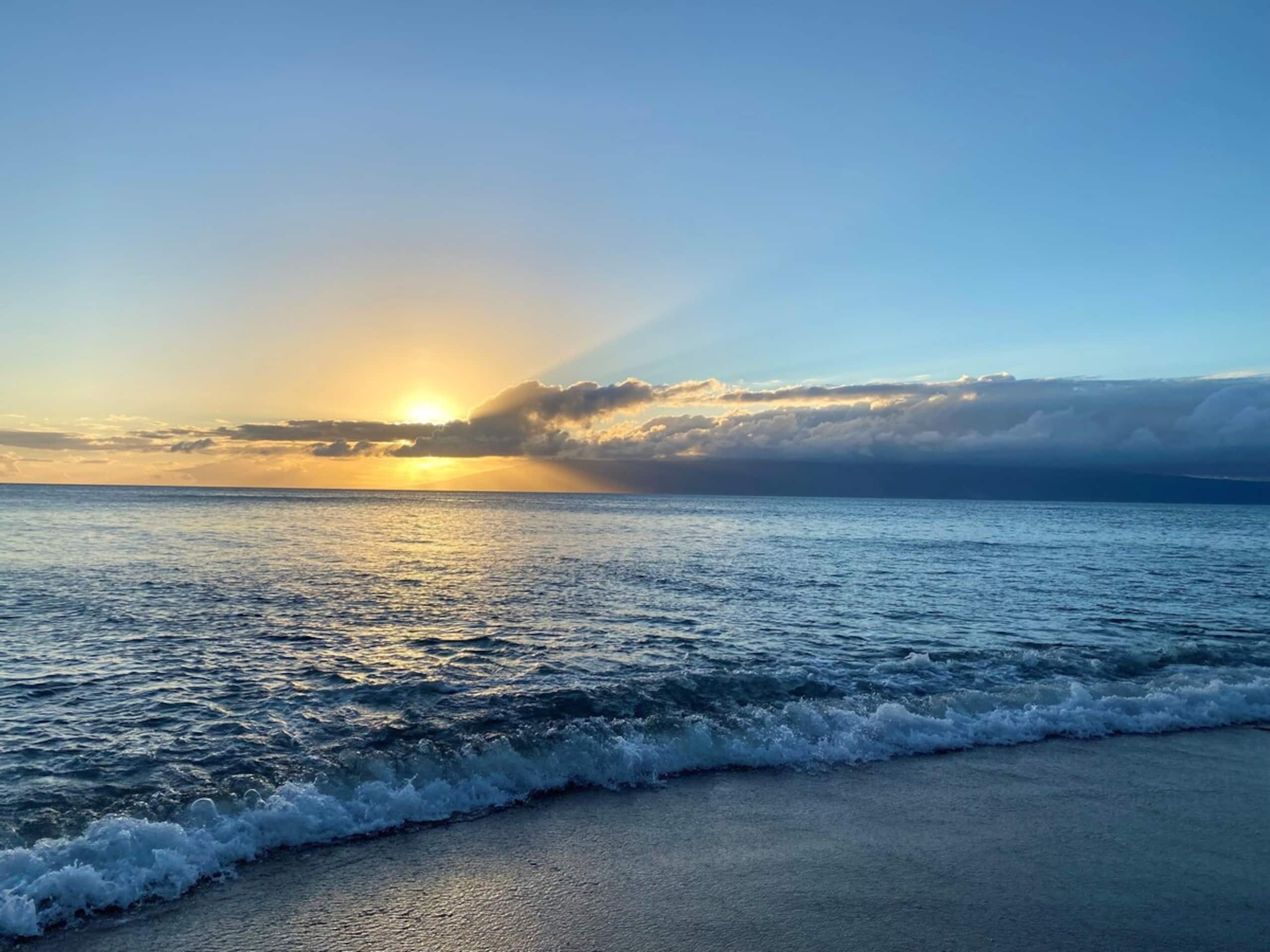 2 Master Suites Direct Oceanfront View 2bd 2ba - Photo 32