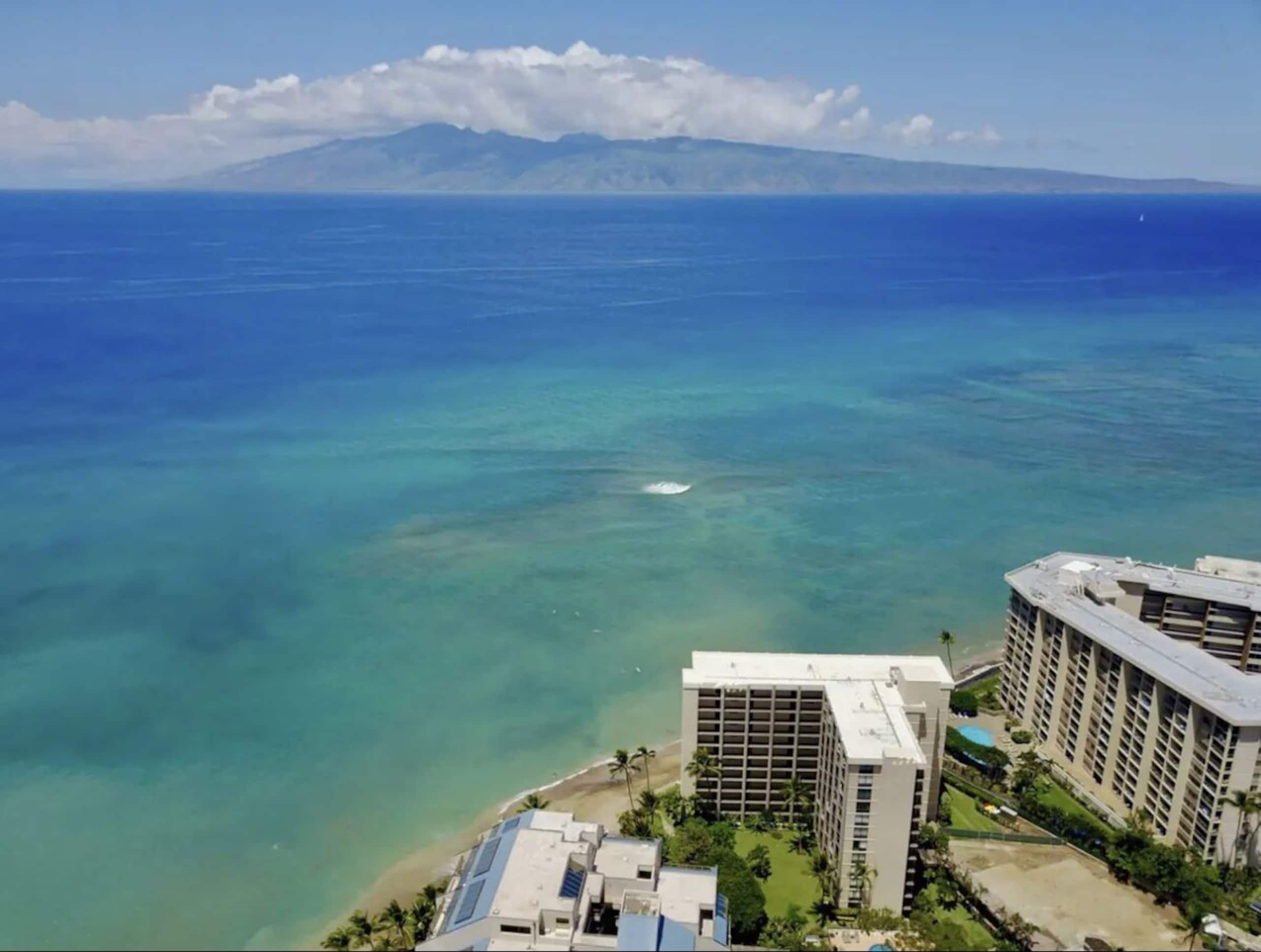 2 Master Suites Direct Oceanfront View 2bd 2ba - Photo 26