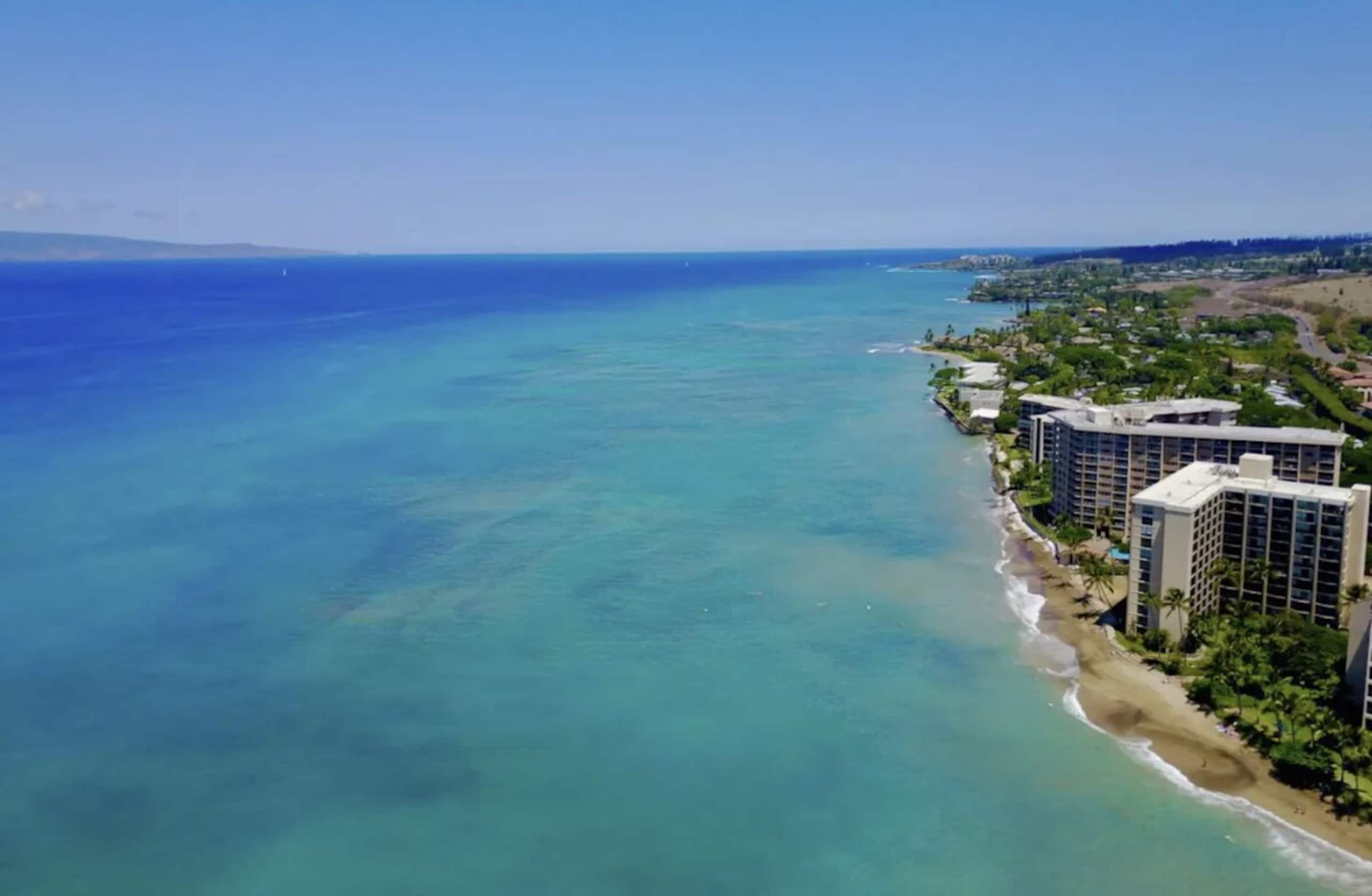 2 Master Suites Direct Oceanfront View 2bd 2ba - Photo 30