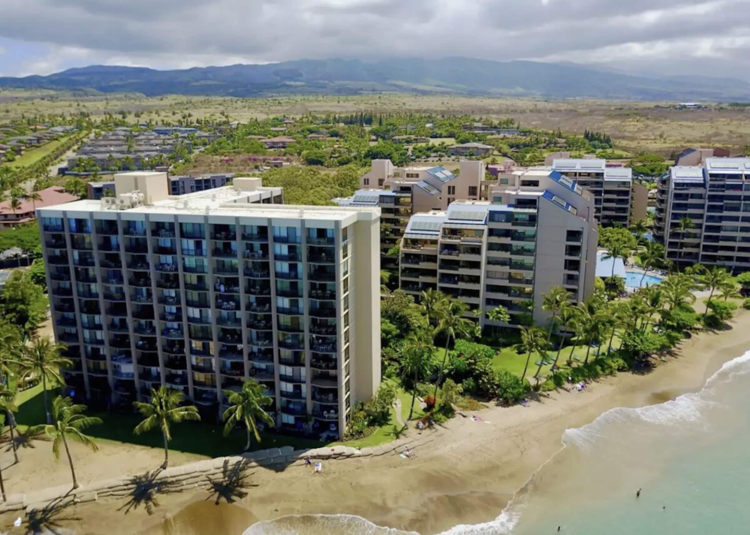 2 Master Suites Direct Oceanfront View 2bd 2ba - Photo 27
