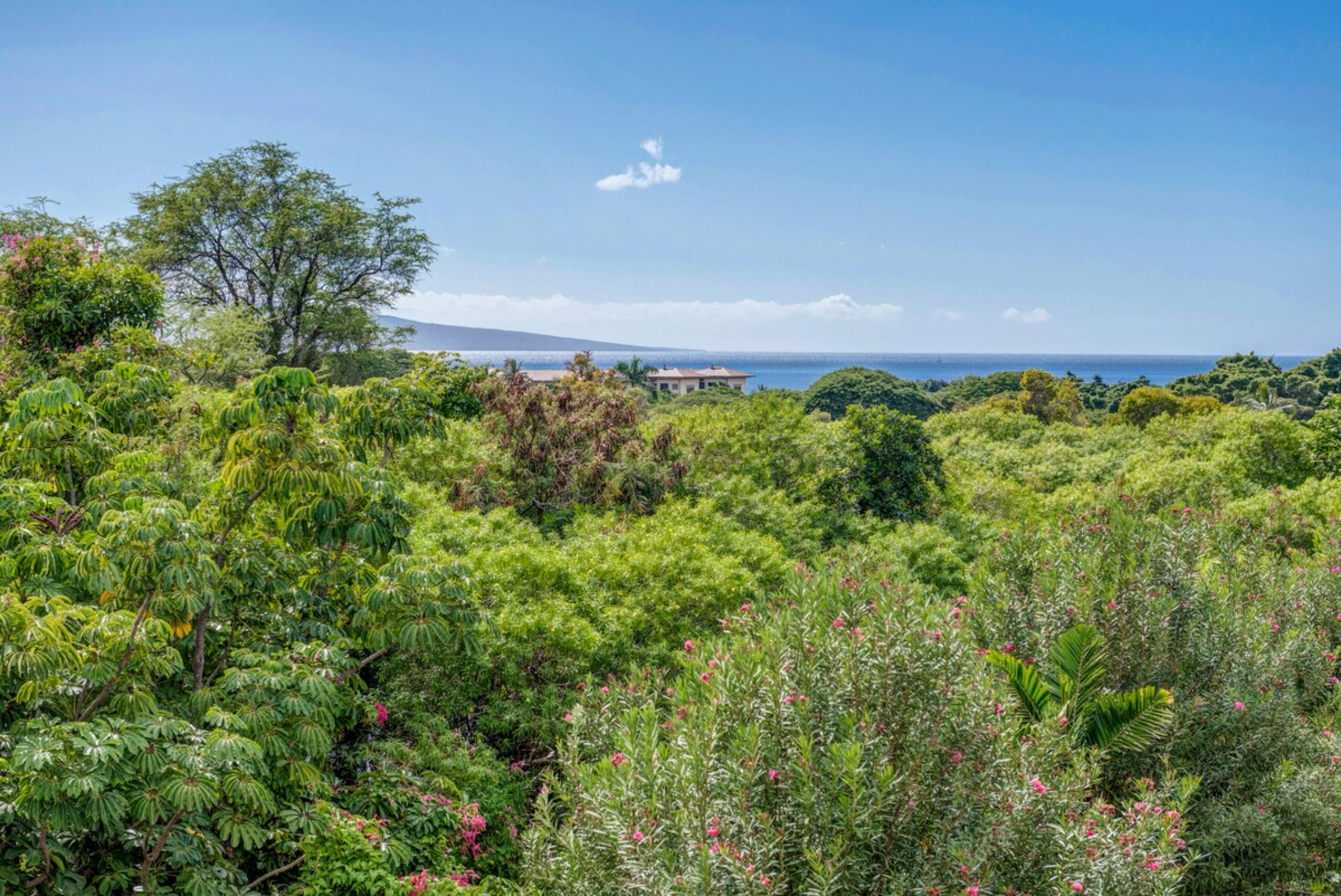 Summer Sale Spacious 3BR w/ AC in Wailea - GC 124 - Photo 8