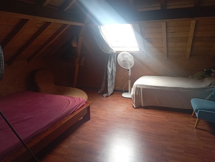Habitación 3