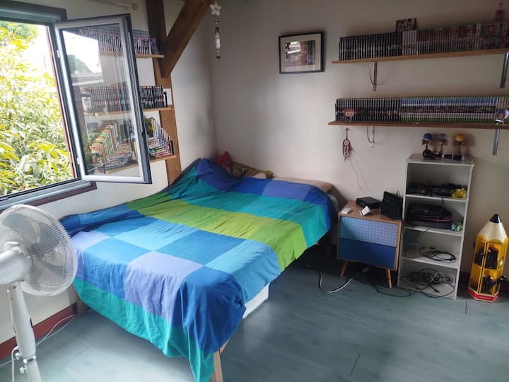 Habitación 1