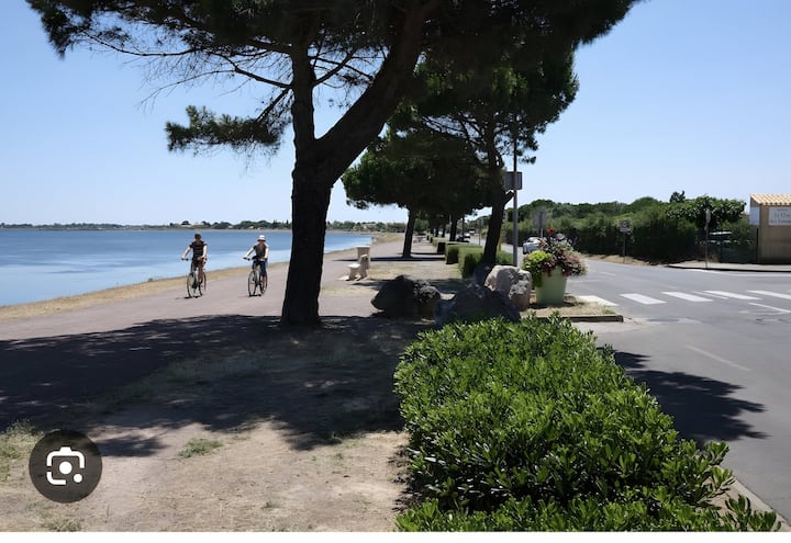 Logement En Résidence Marseillan - Marseillan