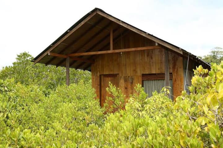 Stay With Nature - Hikkaduwa