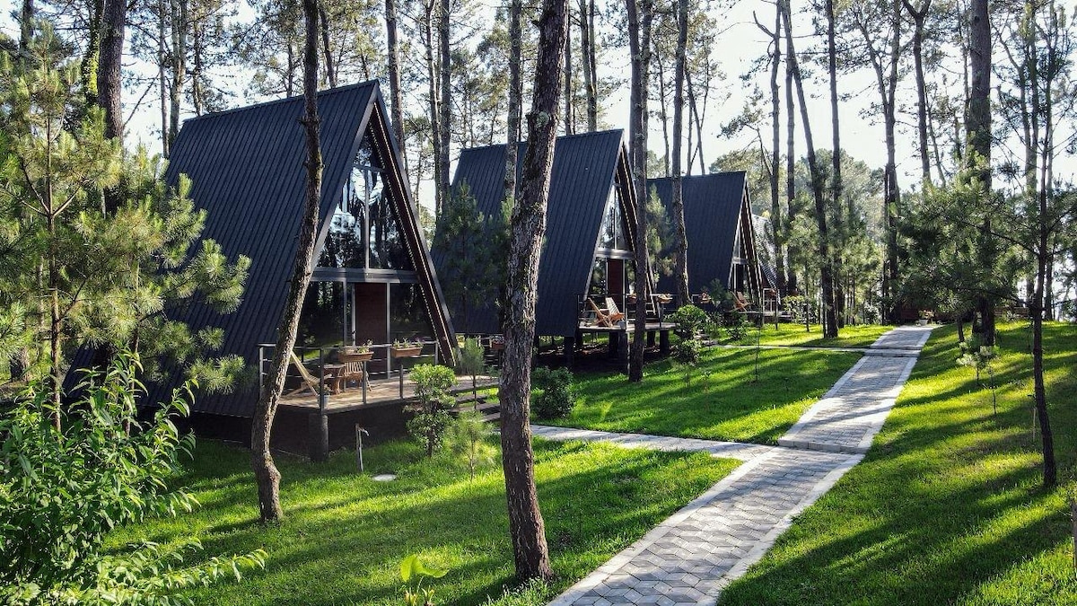 Foto do anúncio de Casas de campo dos sonhos – Verde – Magnolia no Praia do Presídio