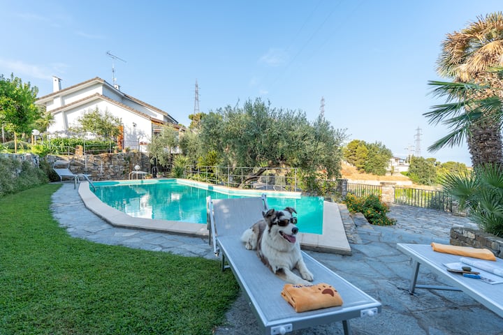 Villa Zara | Piscina | By Holidogs - Imperia