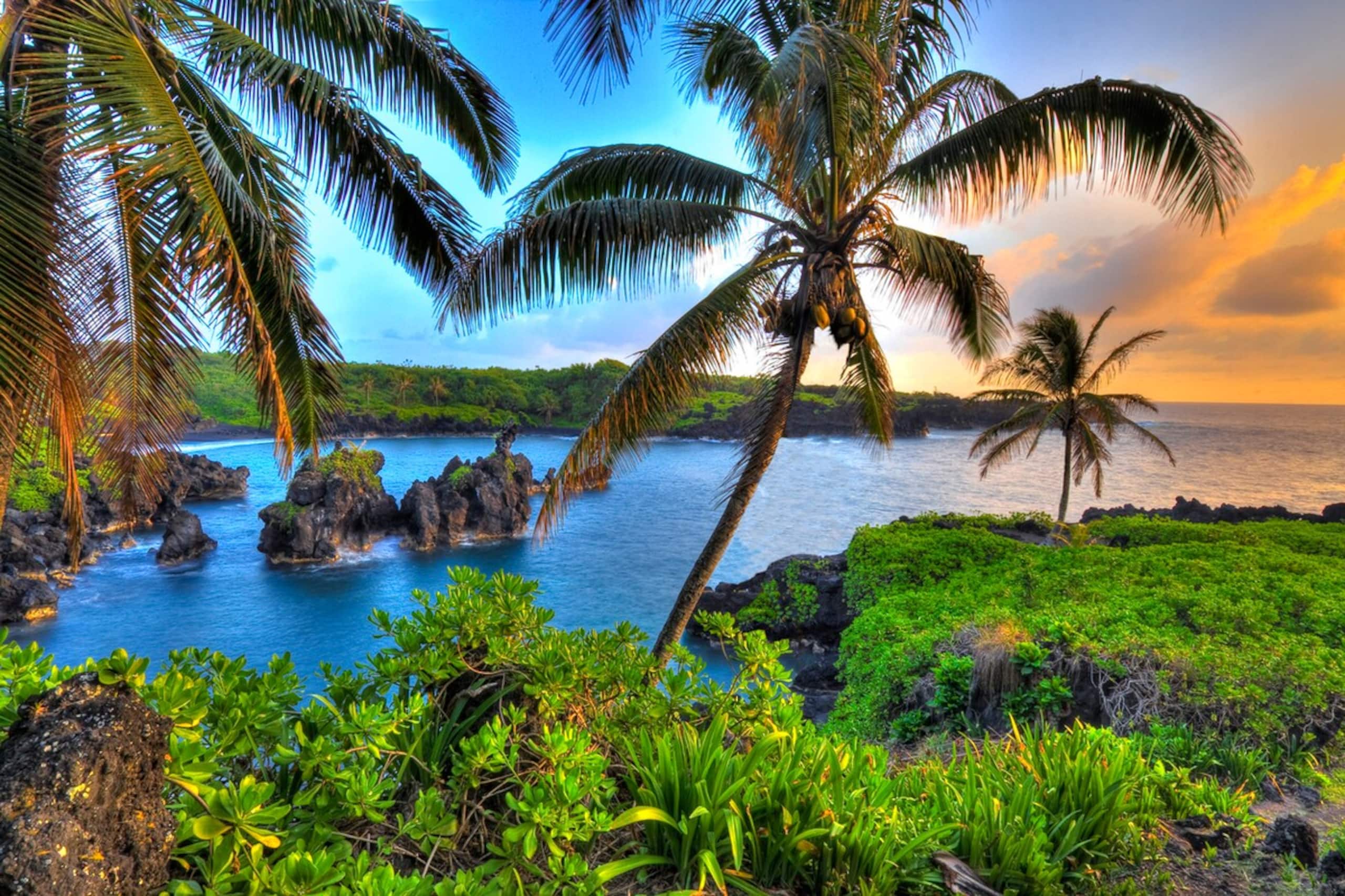 Spectacular OCEANFRONT Only 10 Steps From Beach - Main photo