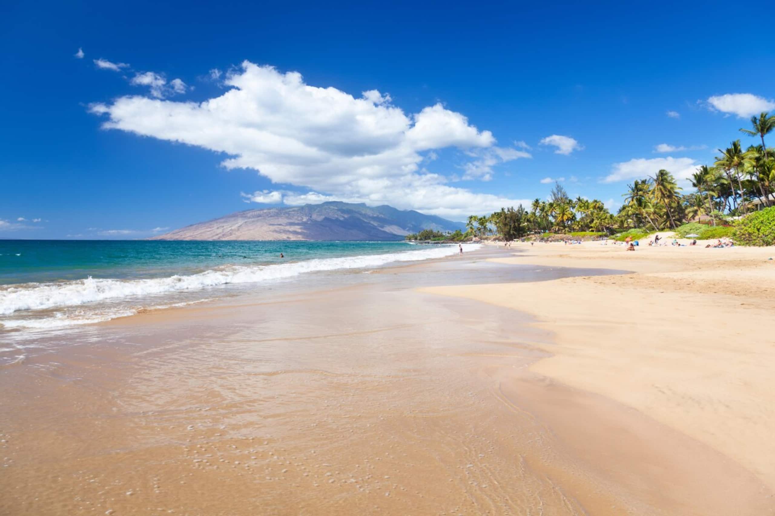 Spectacular OCEANFRONT Only 10 Steps From Beach - Photo 20