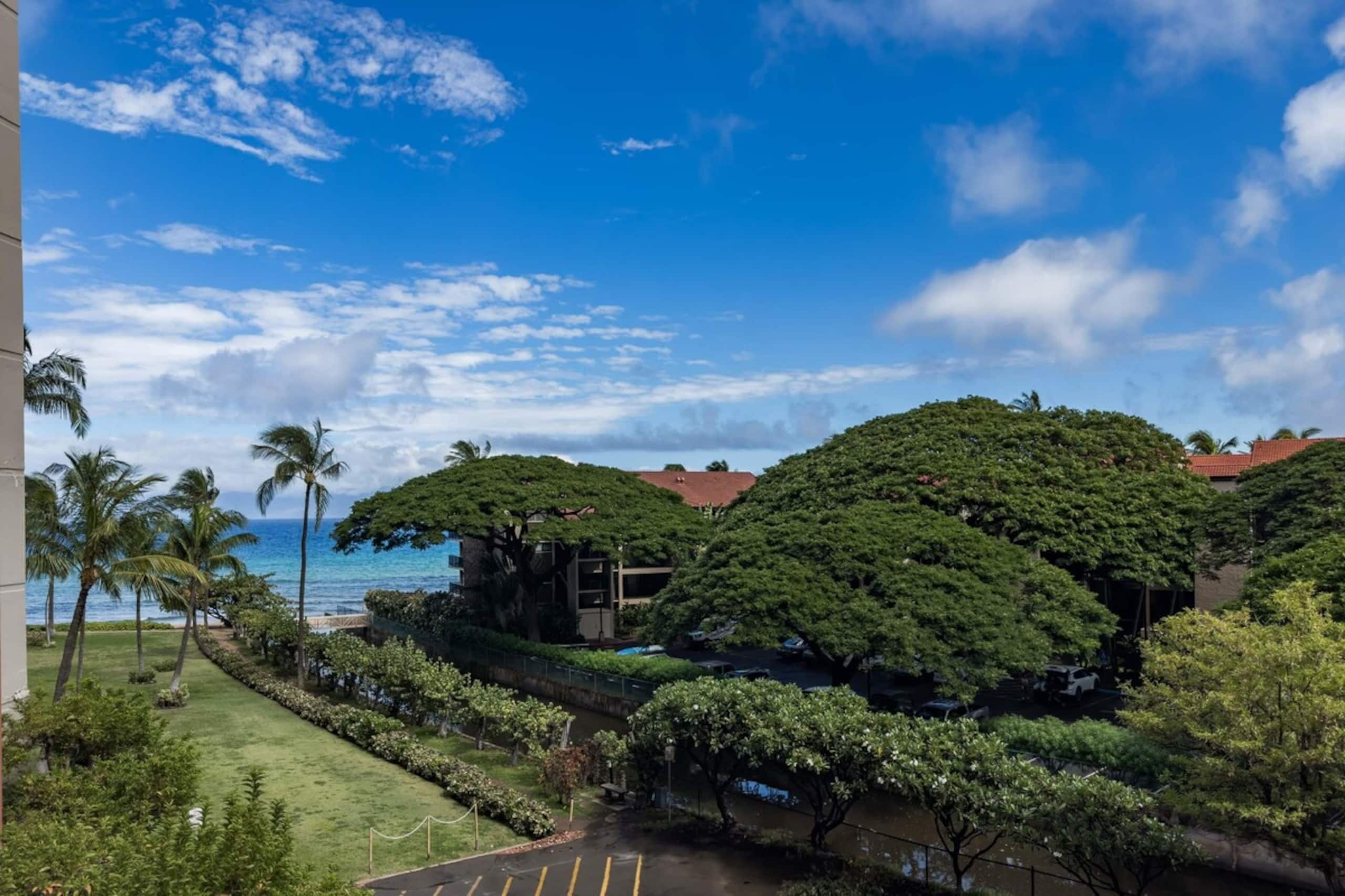 Ocean View Paradise Spacious 2-Bedroom Condo - Photo 28