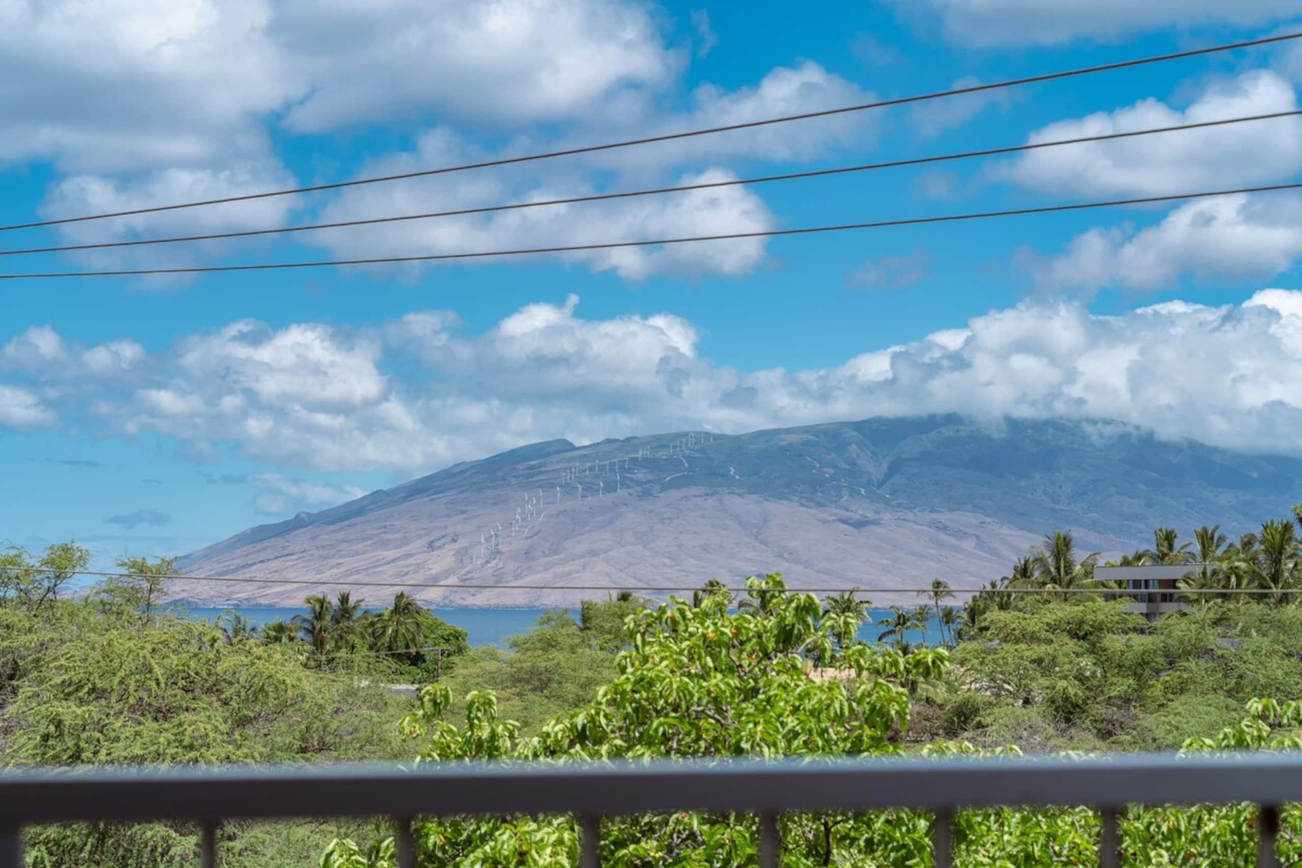Oceanview Remodeled Across from Kamaole 3 Beach - Photo 14