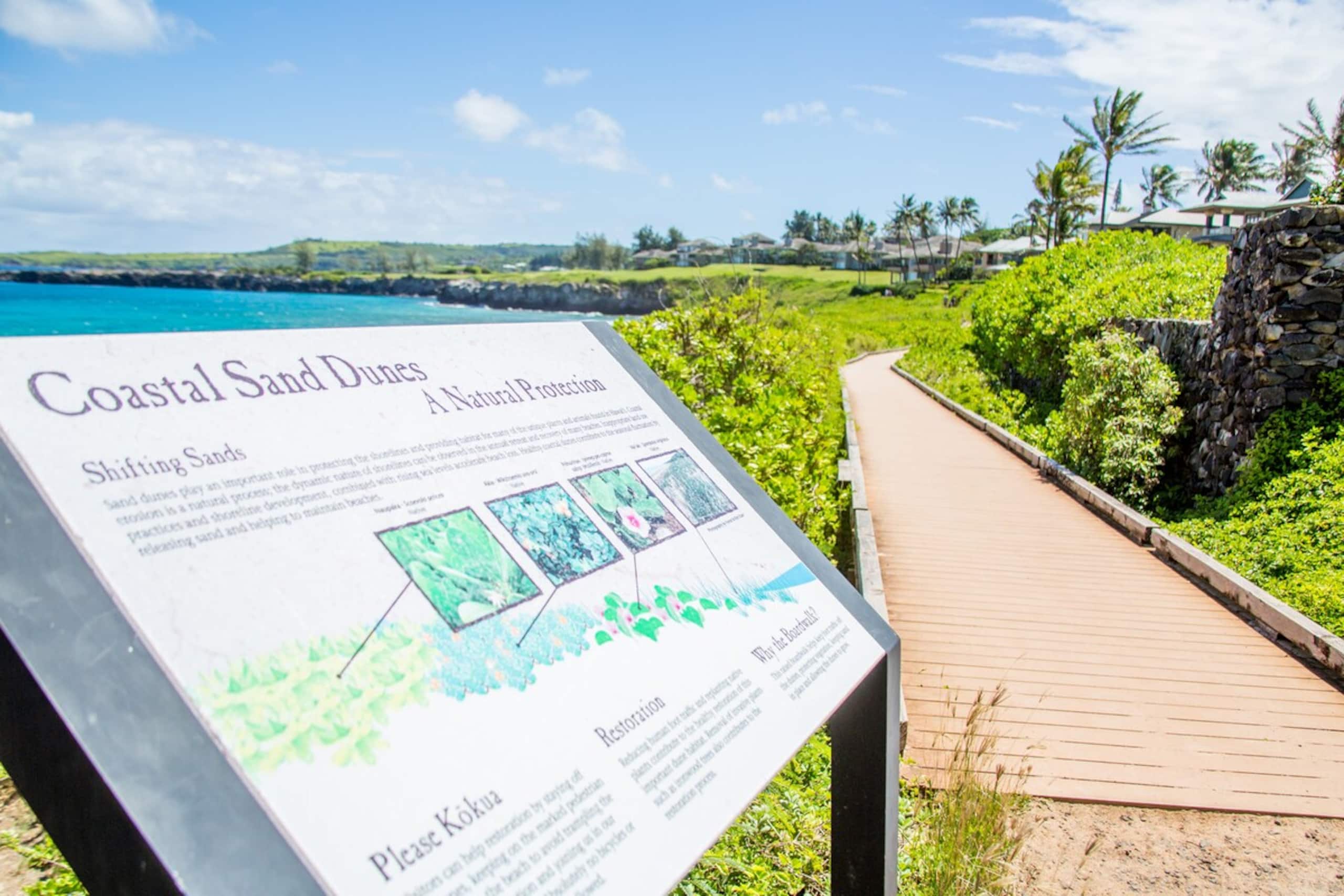 Kapalua Oasis, ac, Ocean views - R414 - Sullivan - Photo 22