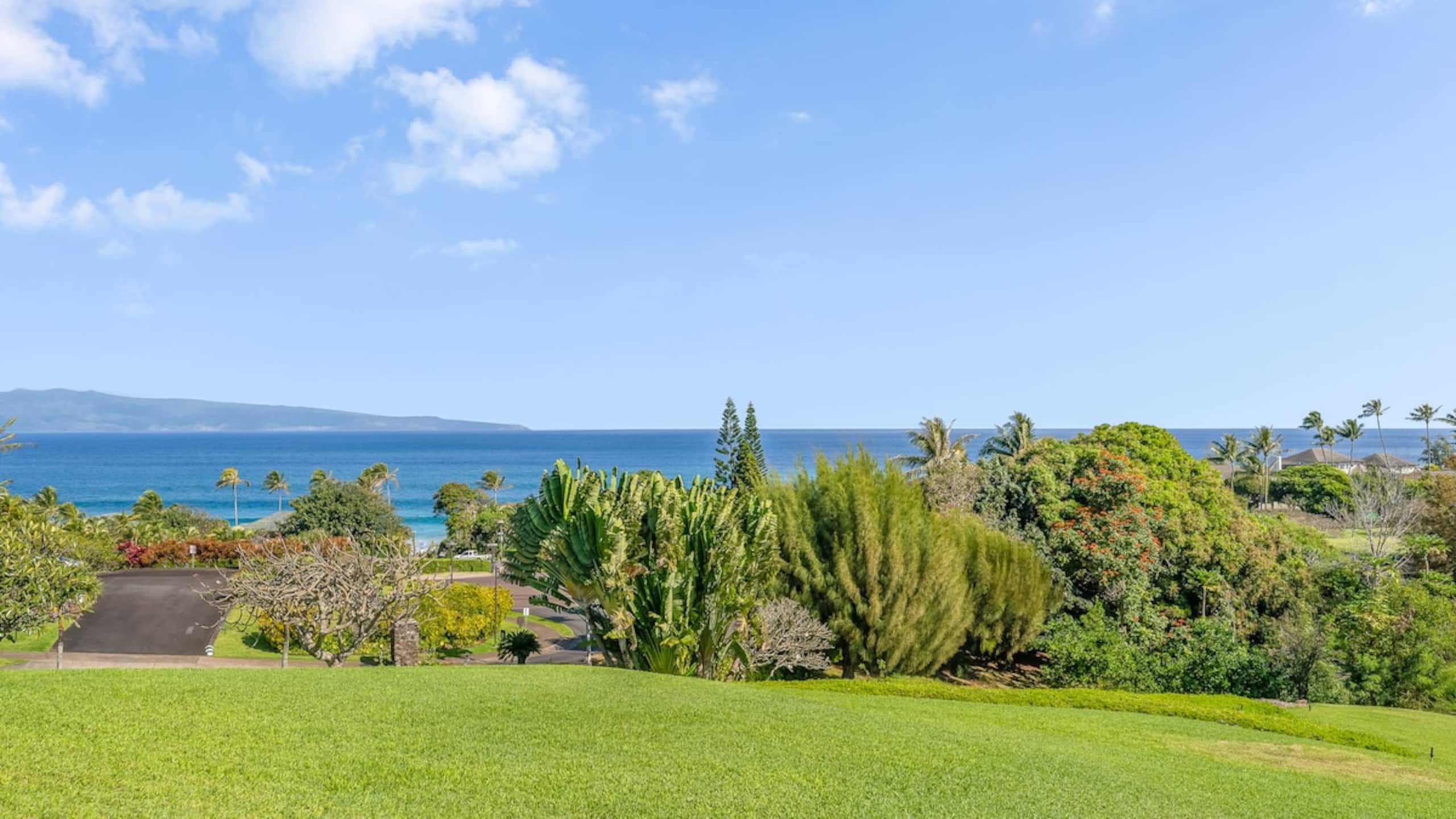 Kapalua Oasis, ac, Ocean views - R414 - Sullivan - Photo 2