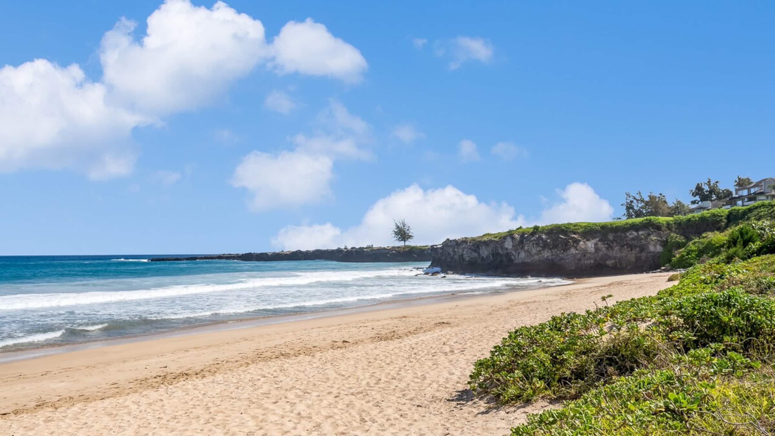 Kapalua Oasis, ac, Ocean views - R414 - Sullivan - Photo 34