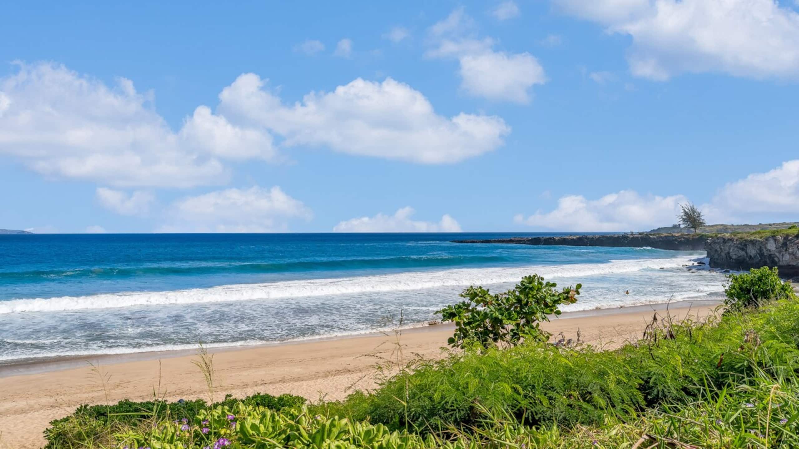 Kapalua Oasis, ac, Ocean views - R414 - Sullivan - Photo 33