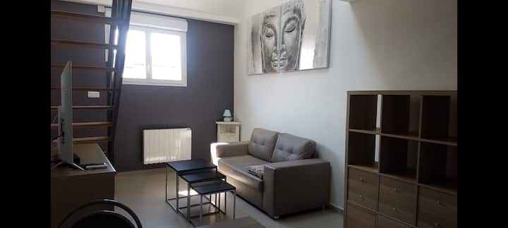 Studio Boudha Duplex 50 M² Parking Et Jardin - Oye-Plage