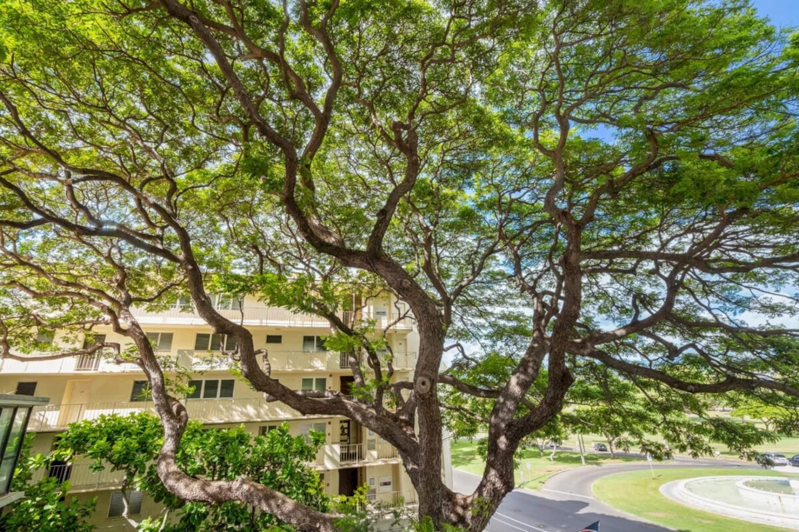 Marbella Lane -Coastal retreat near Diamond Head - Photo 15