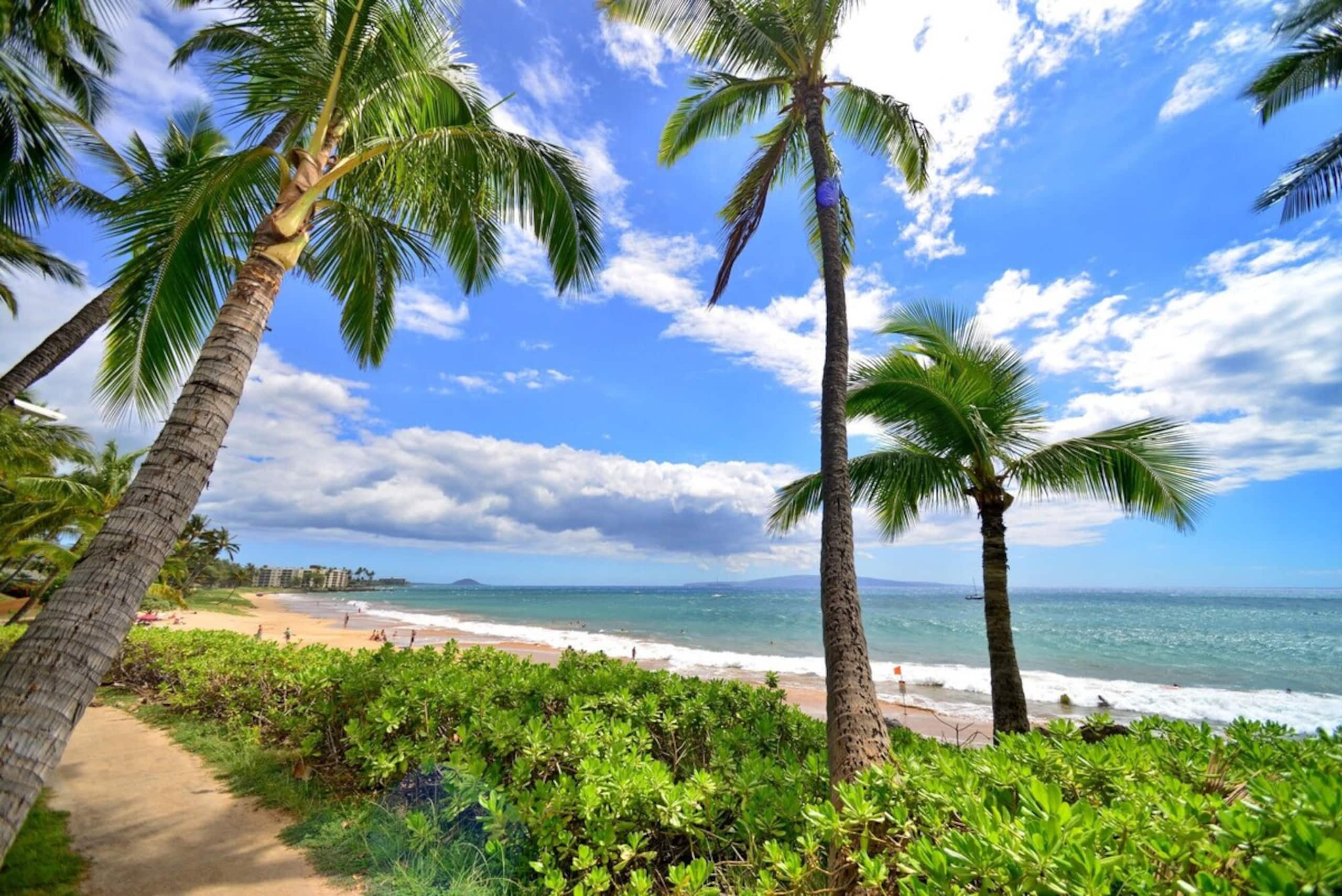 Family-Friendly Kihei, Walk to Beaches Shops Eats - Photo 31
