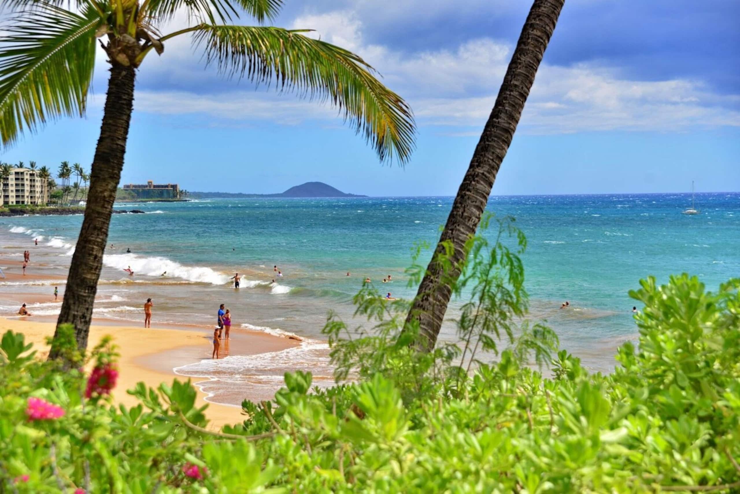 Family-Friendly Kihei, Walk to Beaches Shops Eats - Photo 26