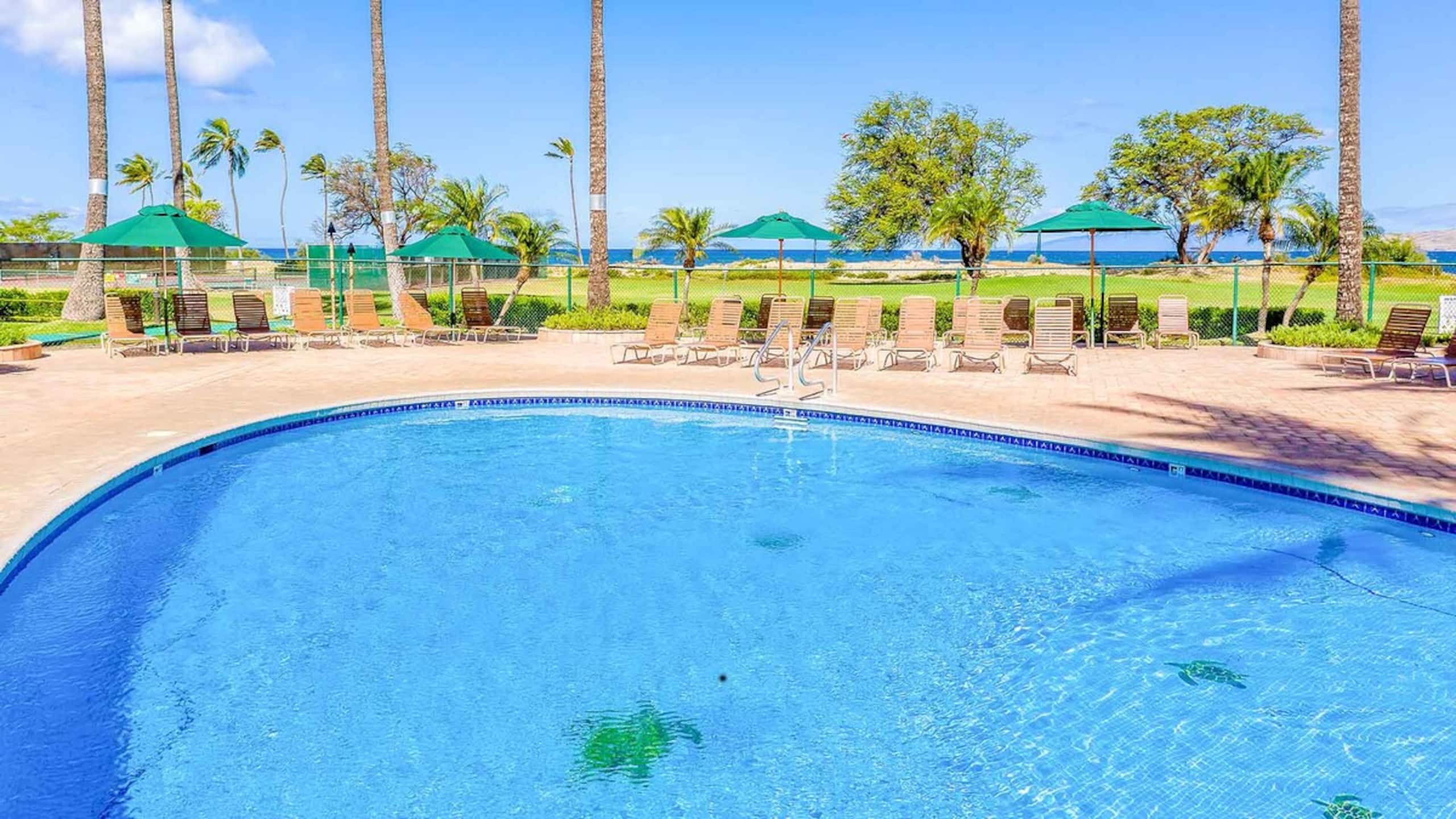Remodeled One bd Ocean, AC, wifi, pool A201 - Photo 17