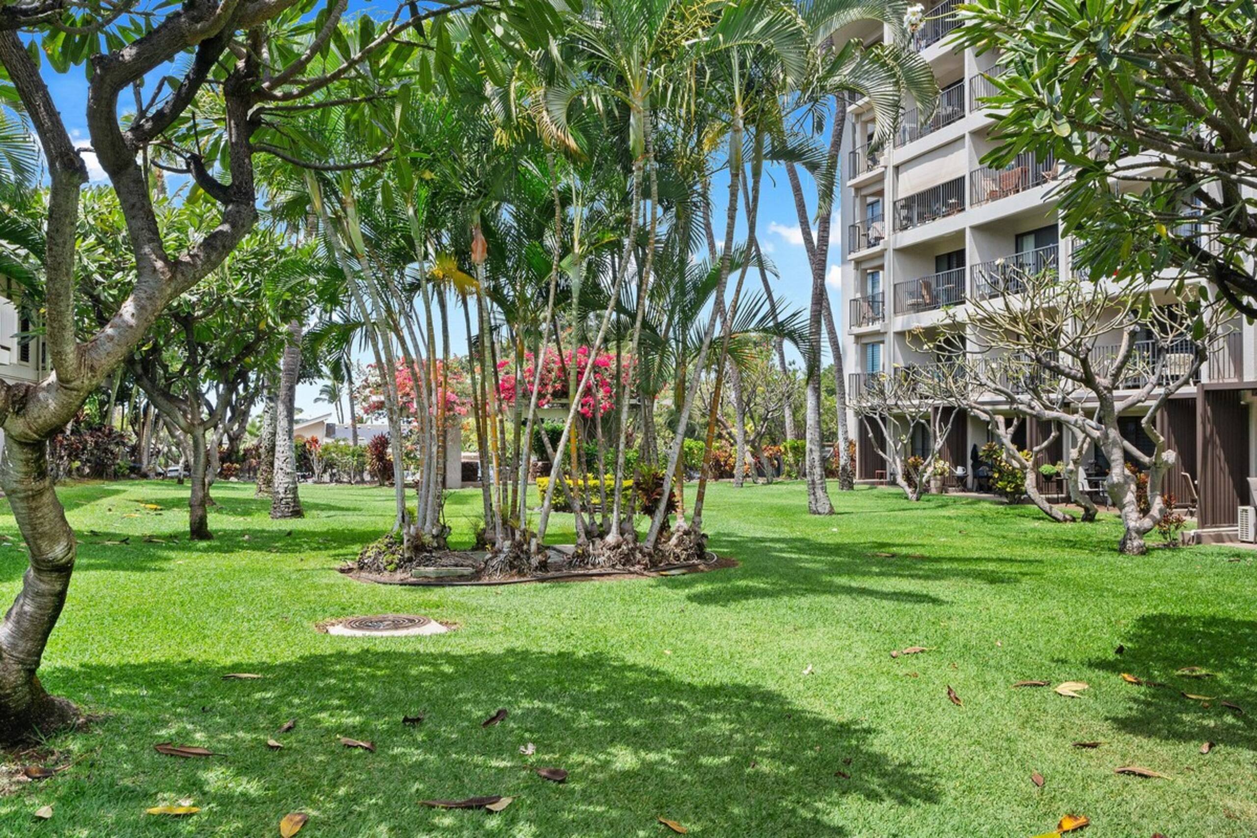 Sweeping Ocean Views • Beach Access • Powerful AC - Photo 29