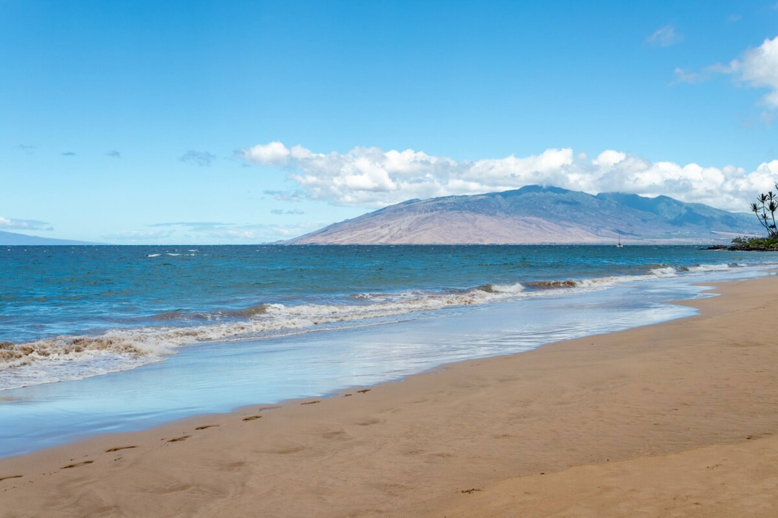 Sweeping Ocean Views • Beach Access • Powerful AC - Photo 33