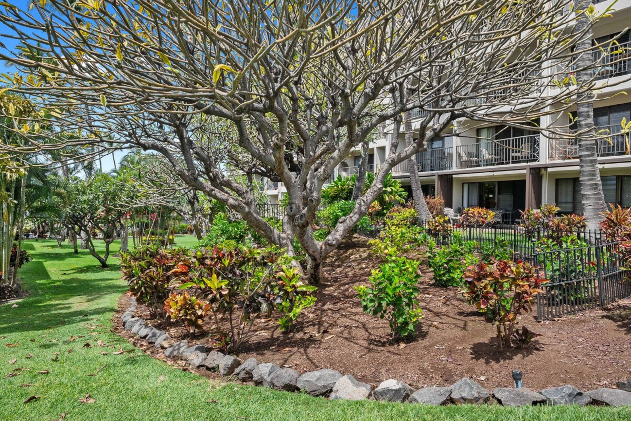 Sweeping Ocean Views • Beach Access • Powerful AC - Photo 36