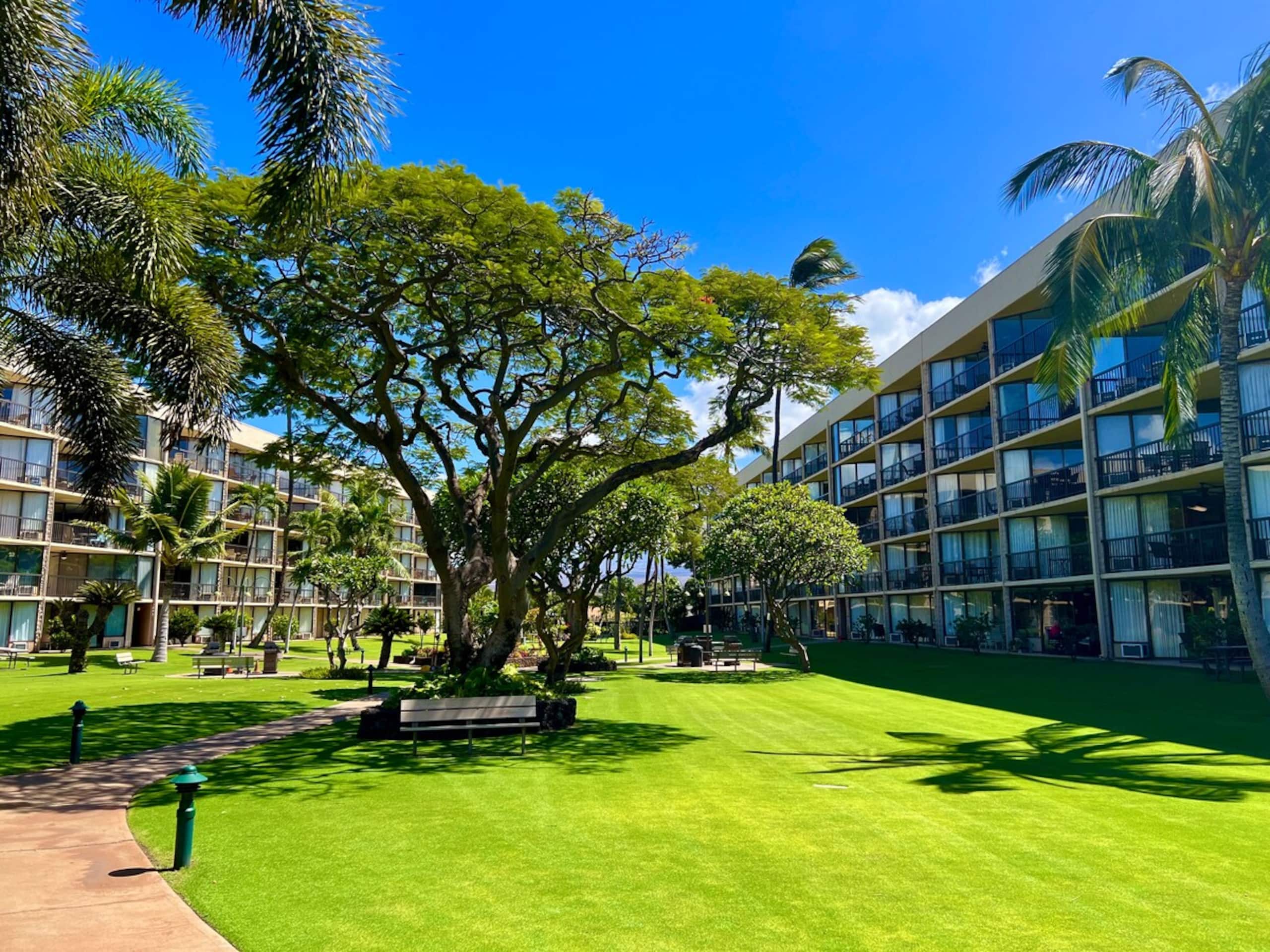 Beautiful Ocean Front Condo on Maui - Photo 18