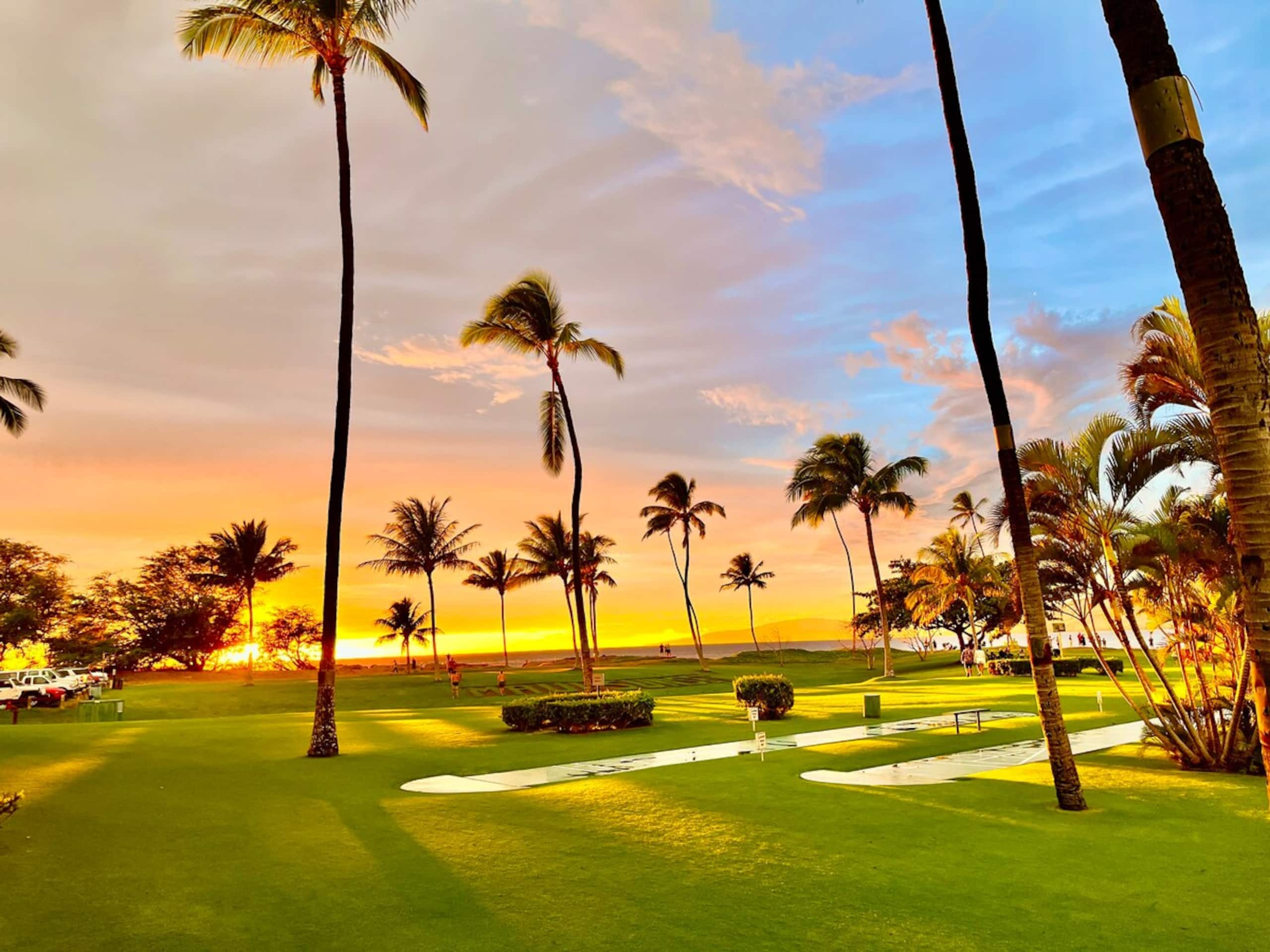 Beautiful Ocean Front Condo on Maui - Photo 16