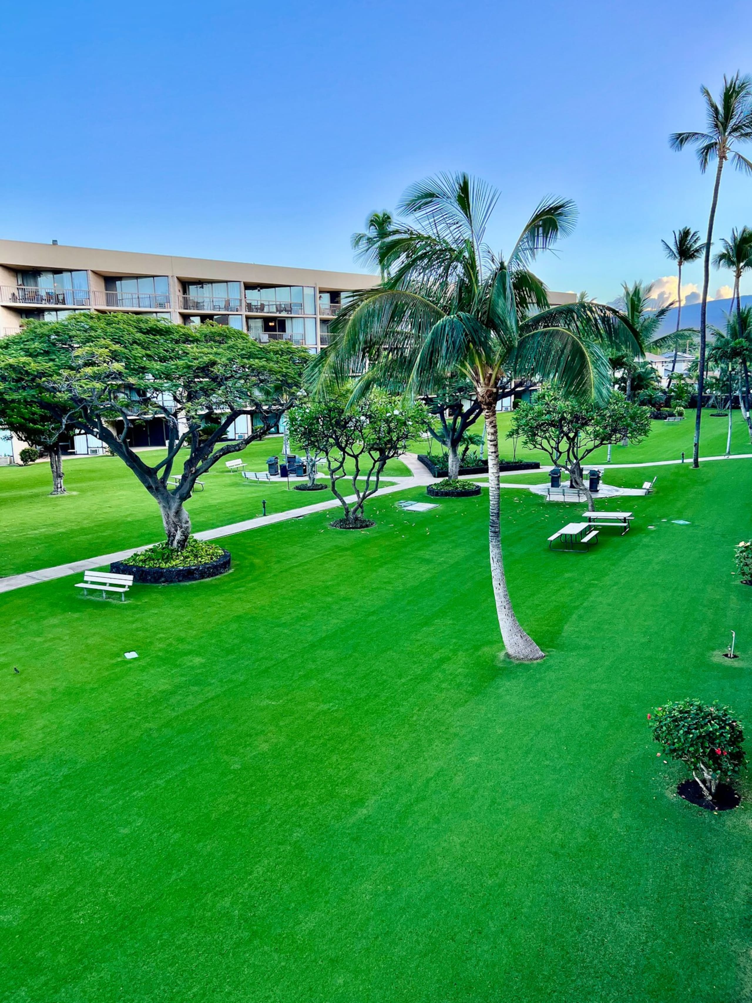 Beautiful Ocean Front Condo on Maui - Photo 14