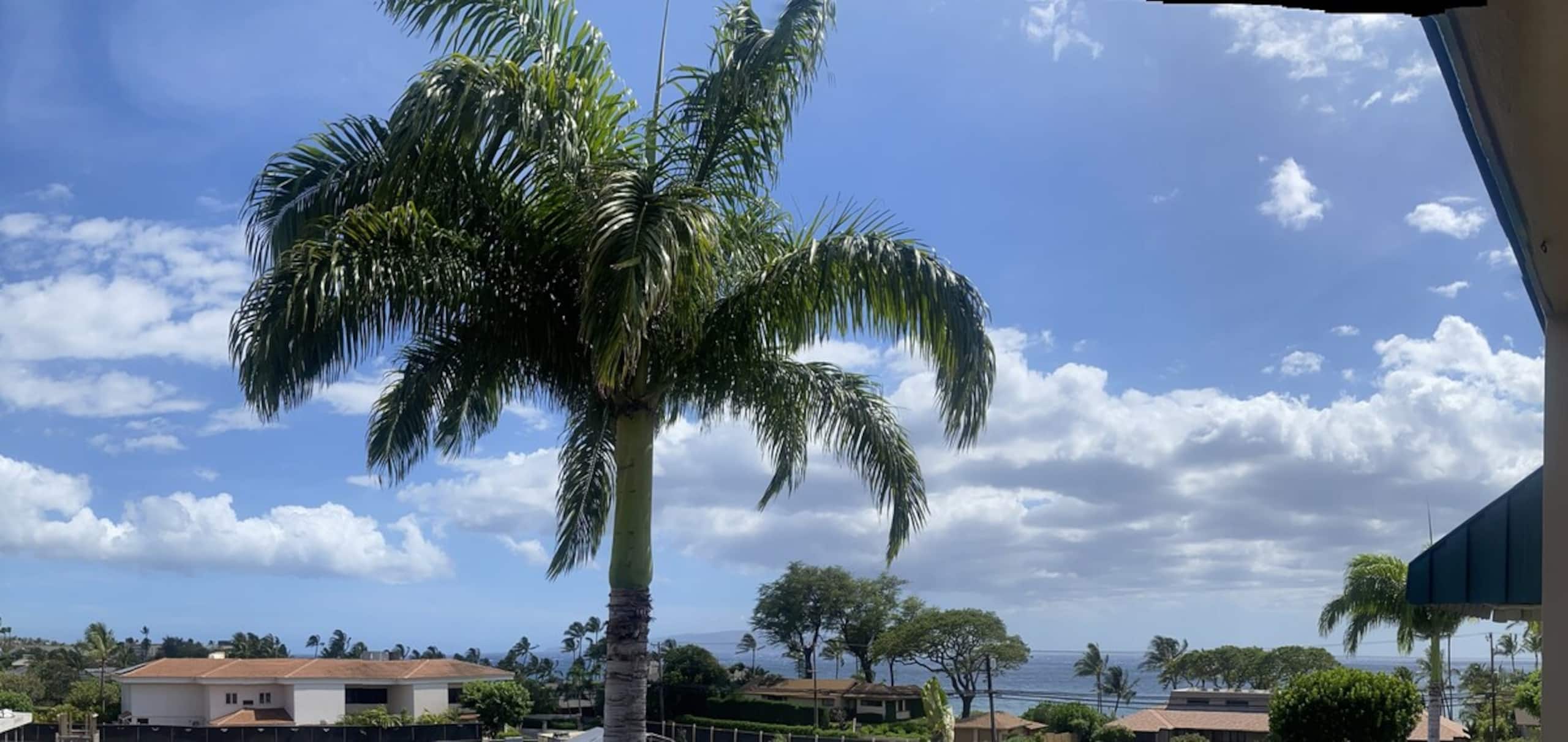 Walk to Beach, restaurants, shopping. Ocean view - Photo 6