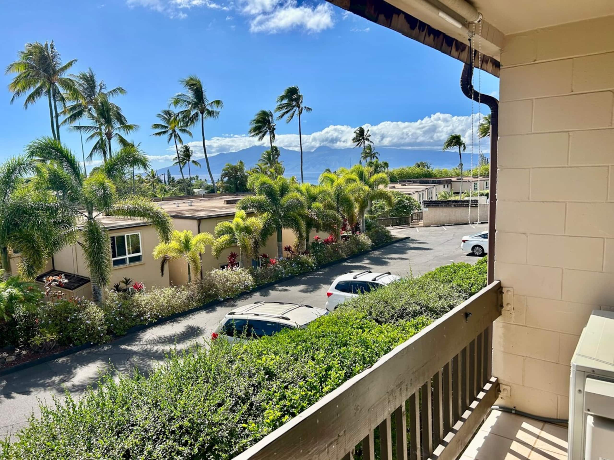 Cozy Clean Quiet 1 BD/1BA with A/C in Napili - Photo 12