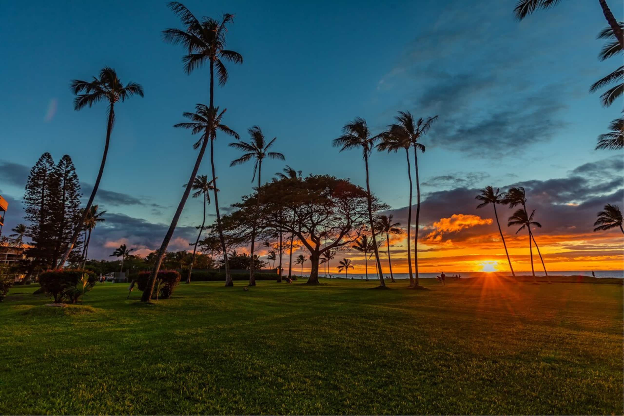 Ocean Front, Panoramic Ocean View 1st Floor LEI105 - Photo 23