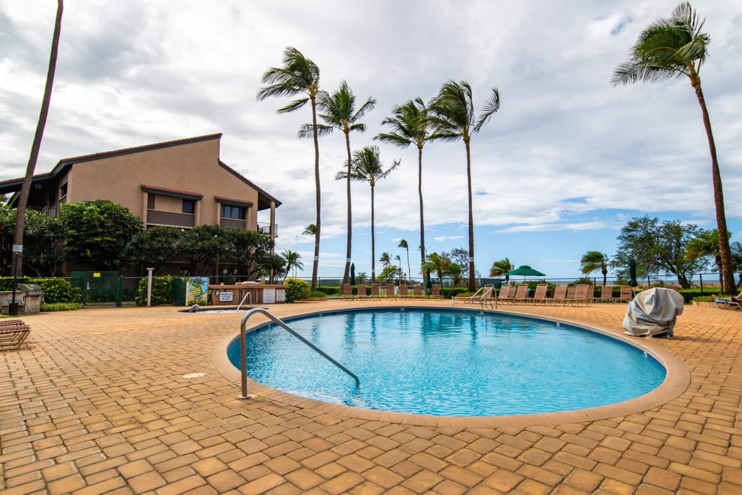Beautiful One BD Ocean, AC, wifi, pool  A202 - Photo 8