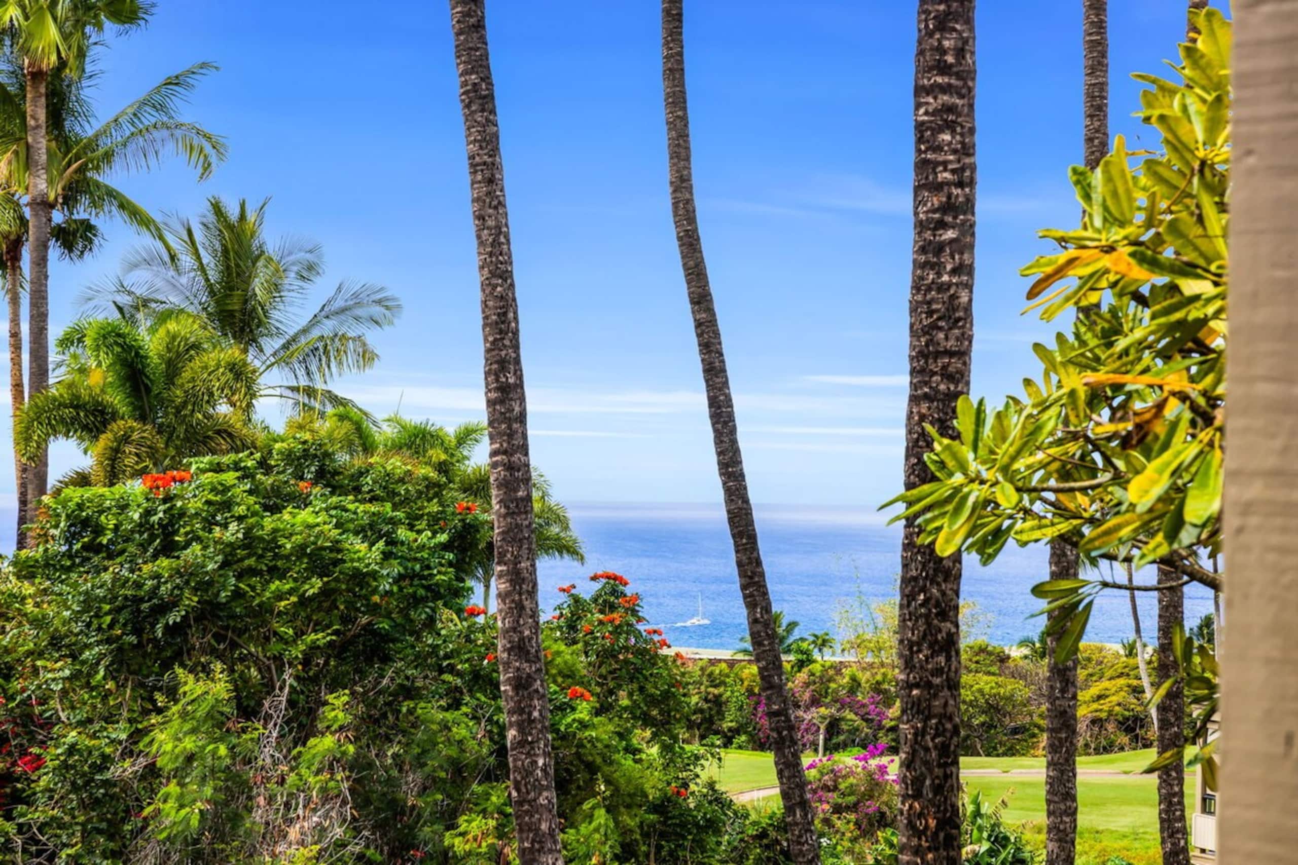 New Listing Beautiful 2bd condo in Wailea - Photo 44