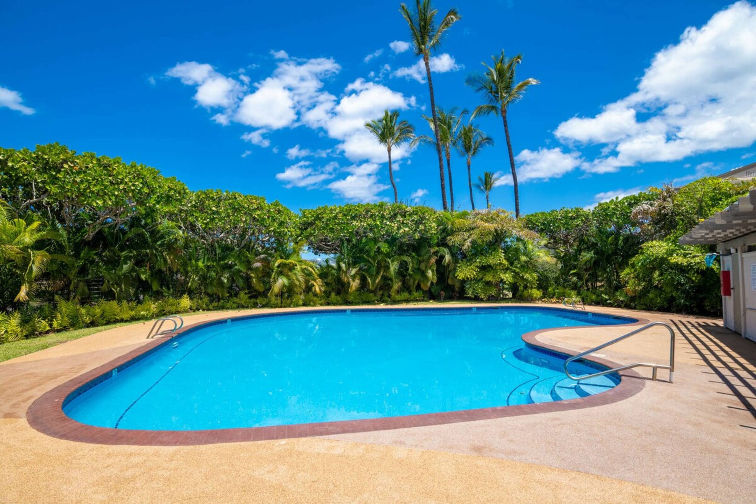 New Listing Beautiful 2bd condo in Wailea - Photo 47