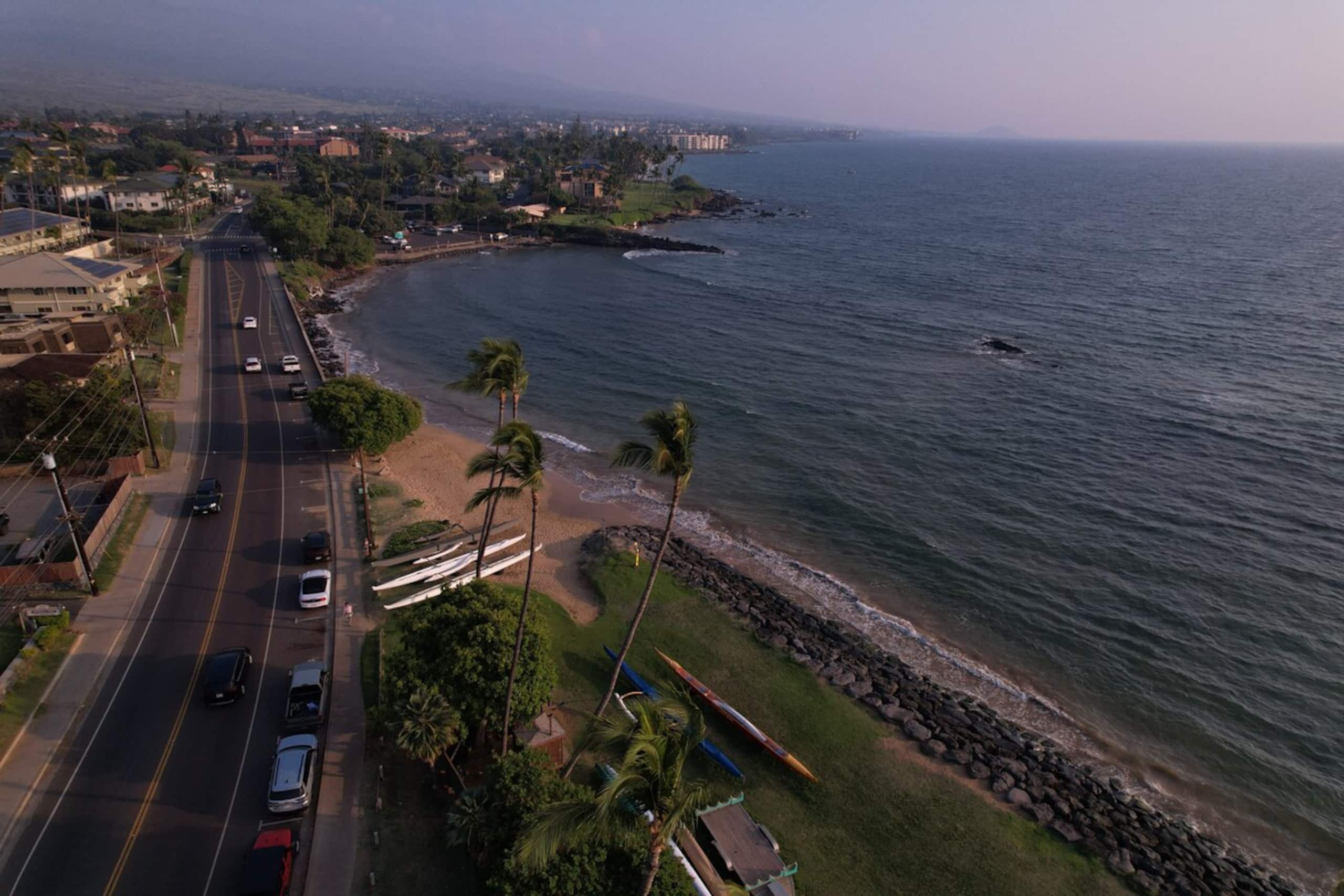 Aloha Vibes: Oceanfront View, Beach & Food Trucks - Photo 37